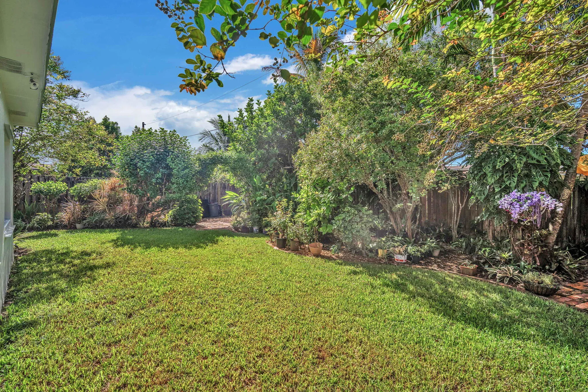 15-web-or-mls-DSC05671
