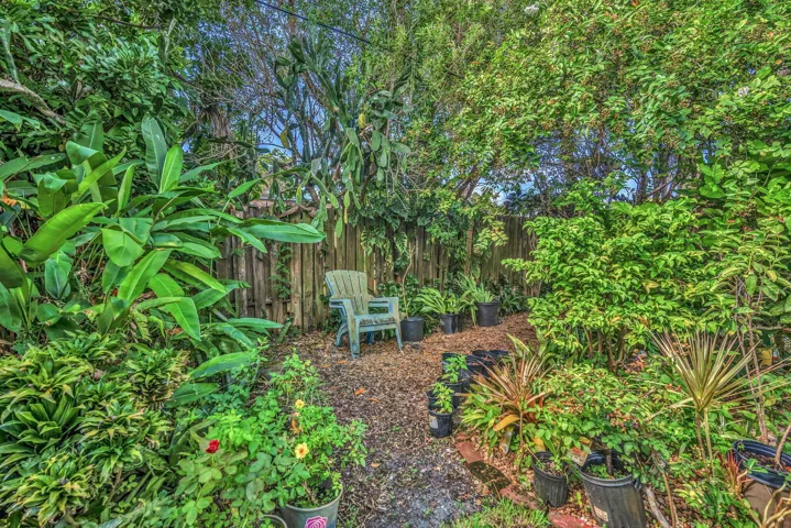 38-web-or-mls-DSC05617