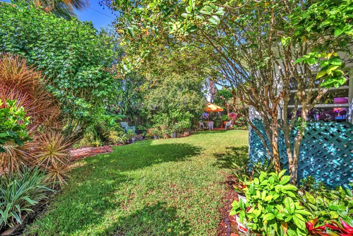 35-web-or-mls-DSC05611