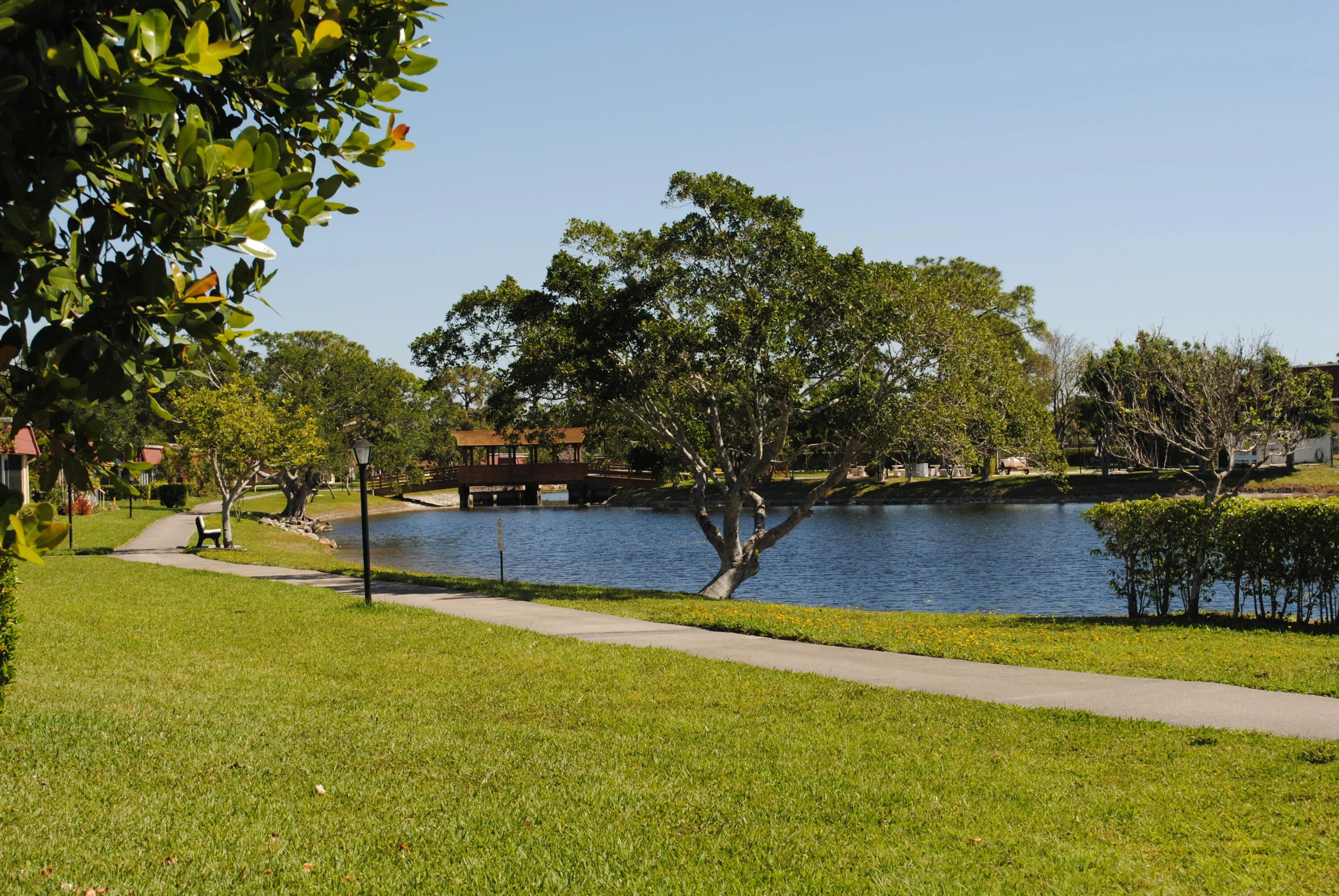 lots of walking paths