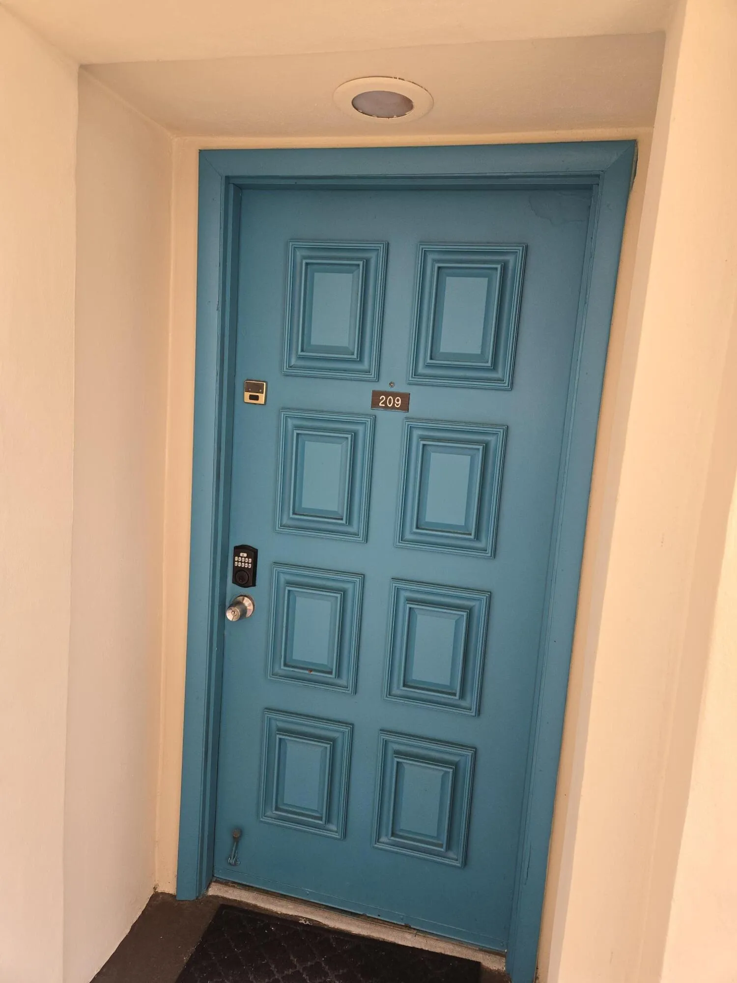 Door 209