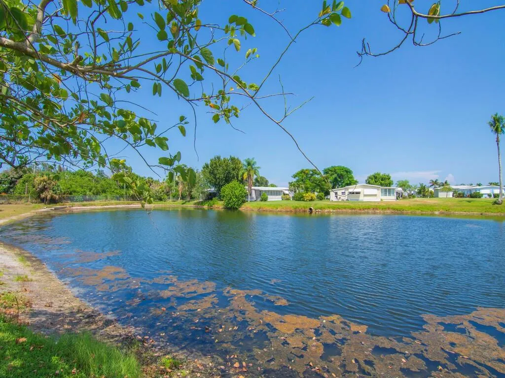 Property photo 44