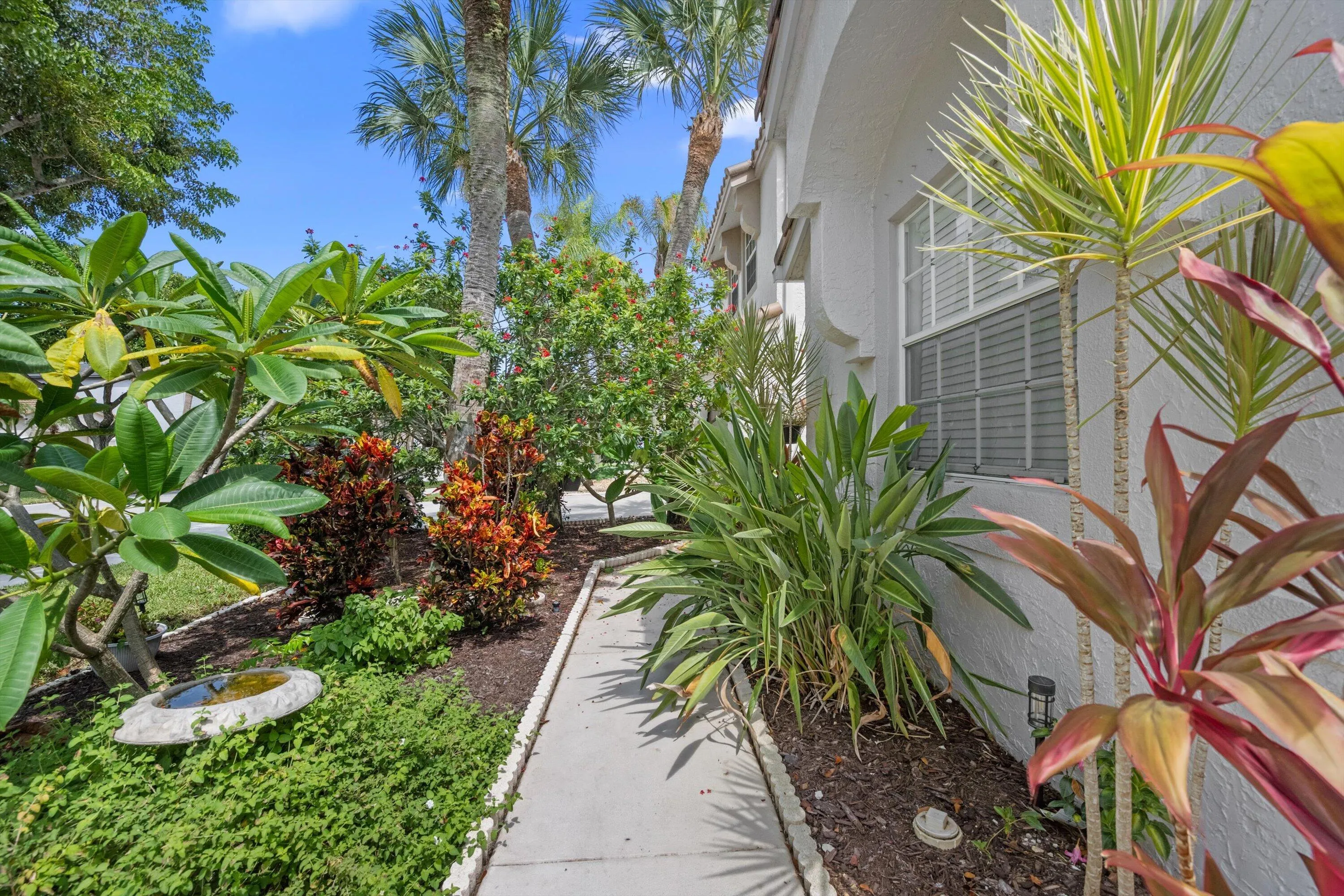 Lush tropical landscaping with diverse foliage, concrete pathway, white exterior wall, and window with exterior shutters