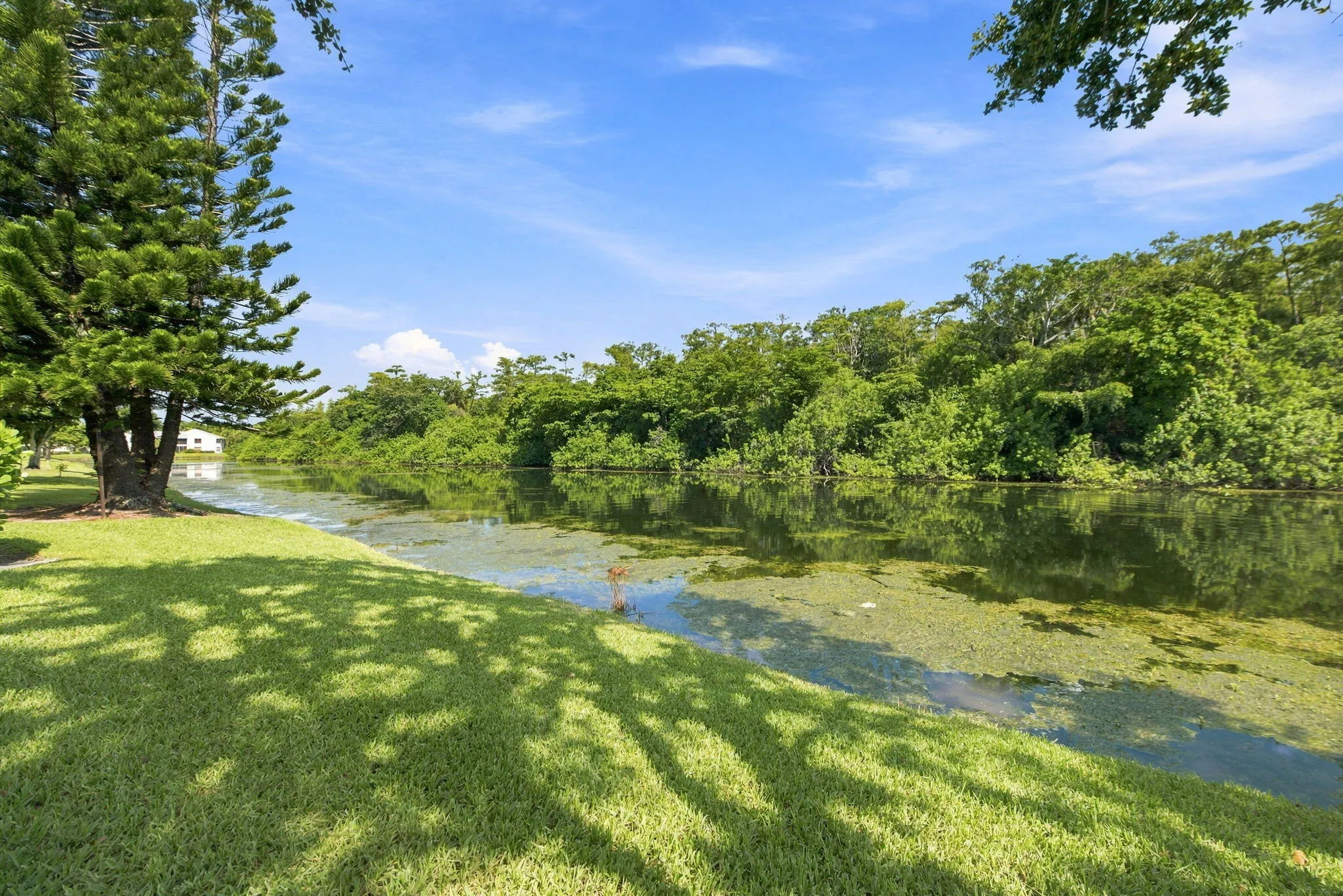 25-web-or-mls-2662-carambola-cir-n