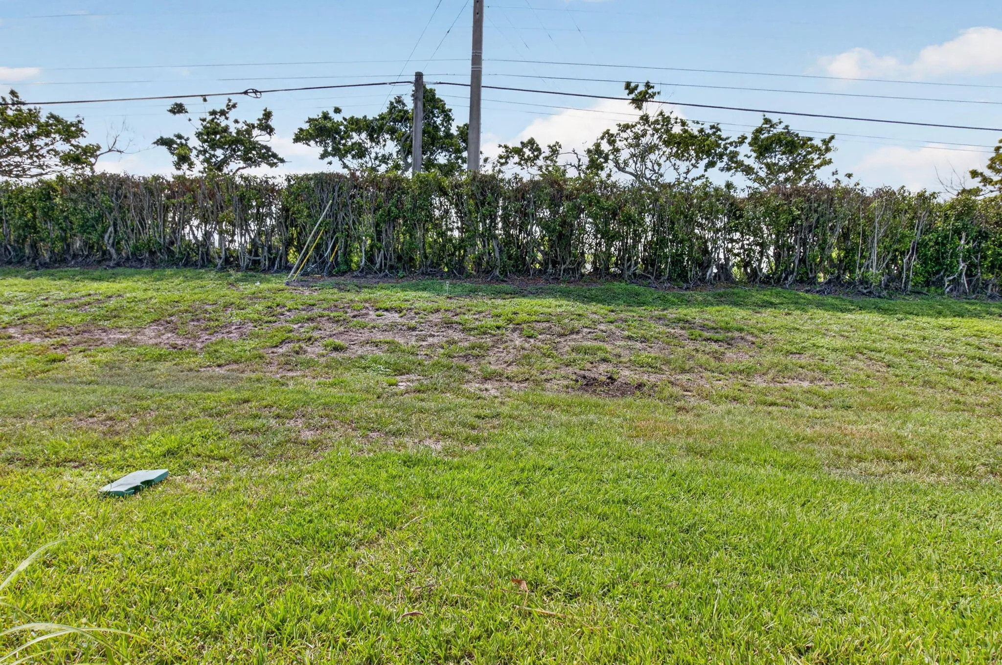 33-web-or-mls-DSC_1623