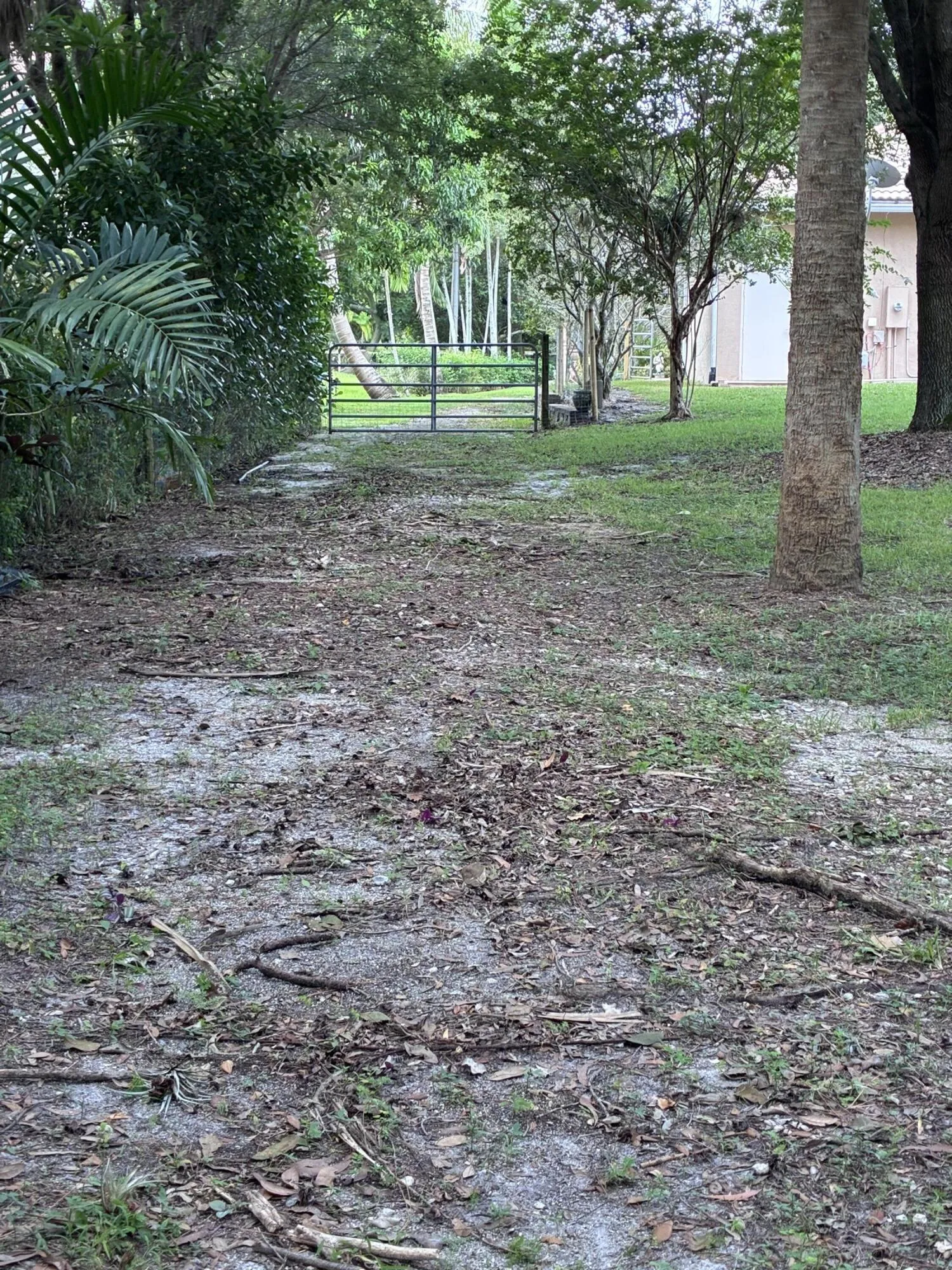 Side yard