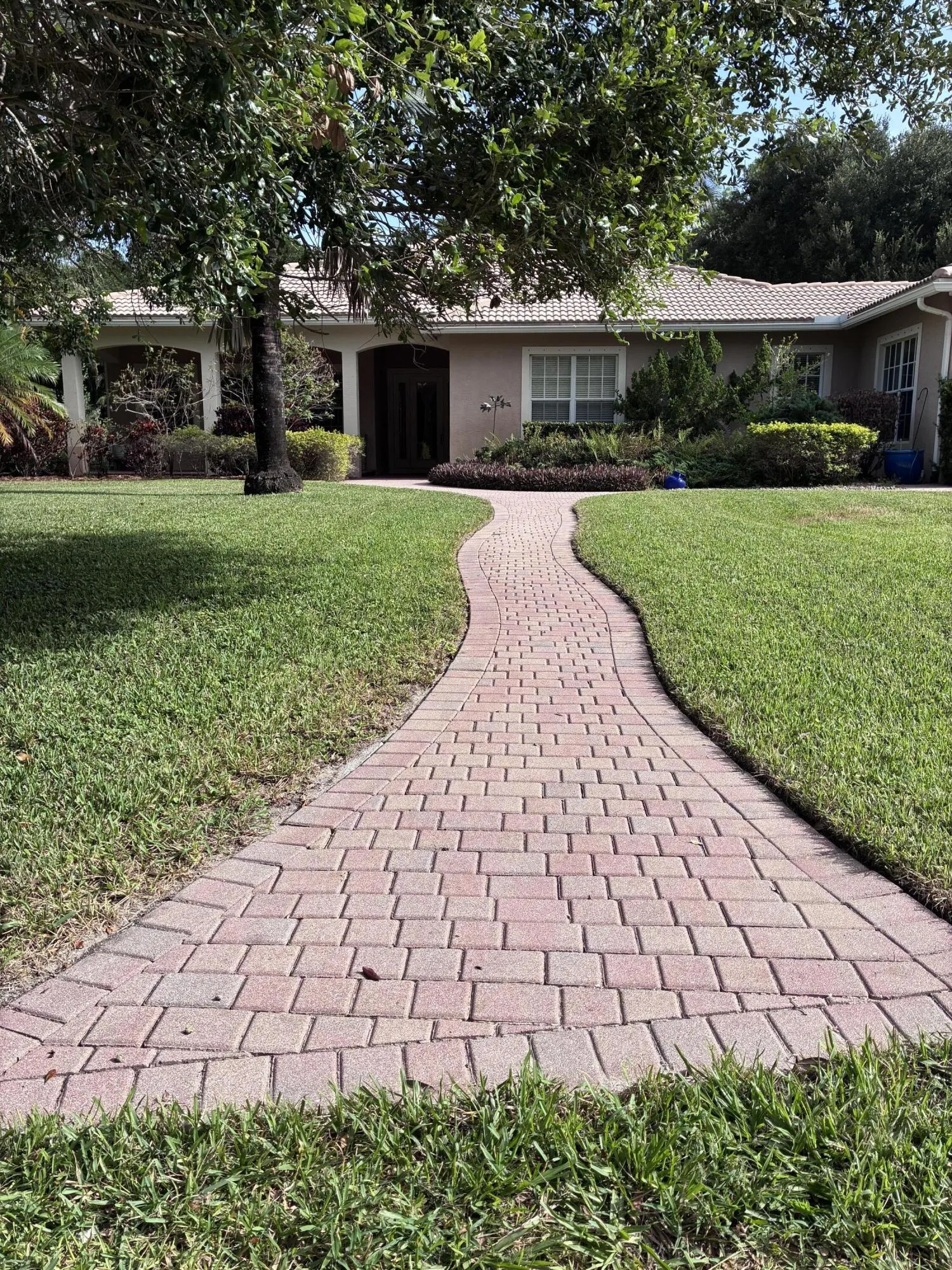 Beautiful front yard with paver wallway