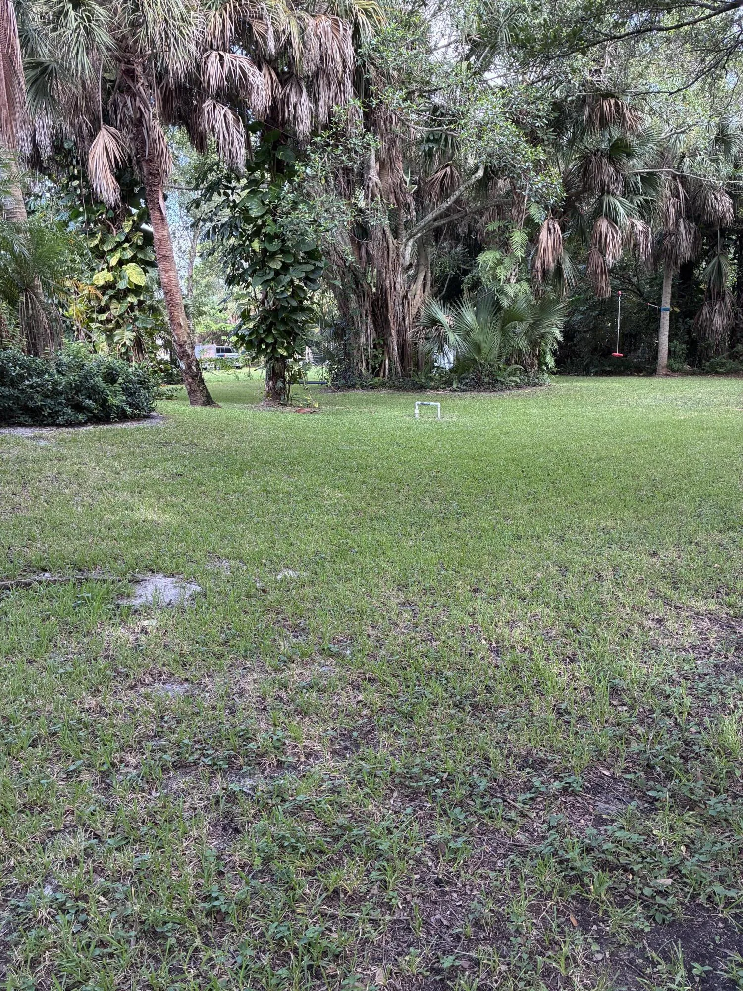 Large back yard
