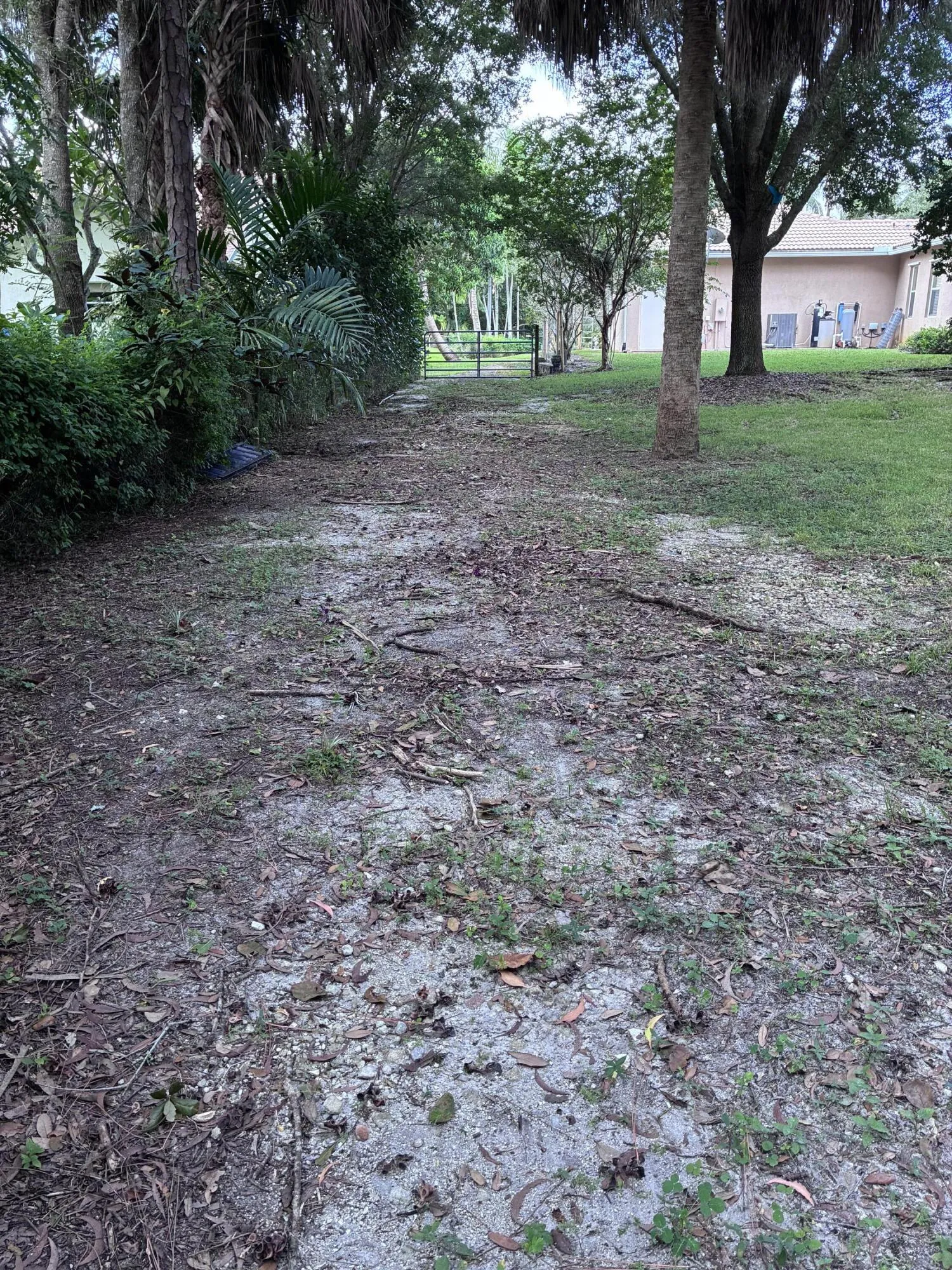 Side yard