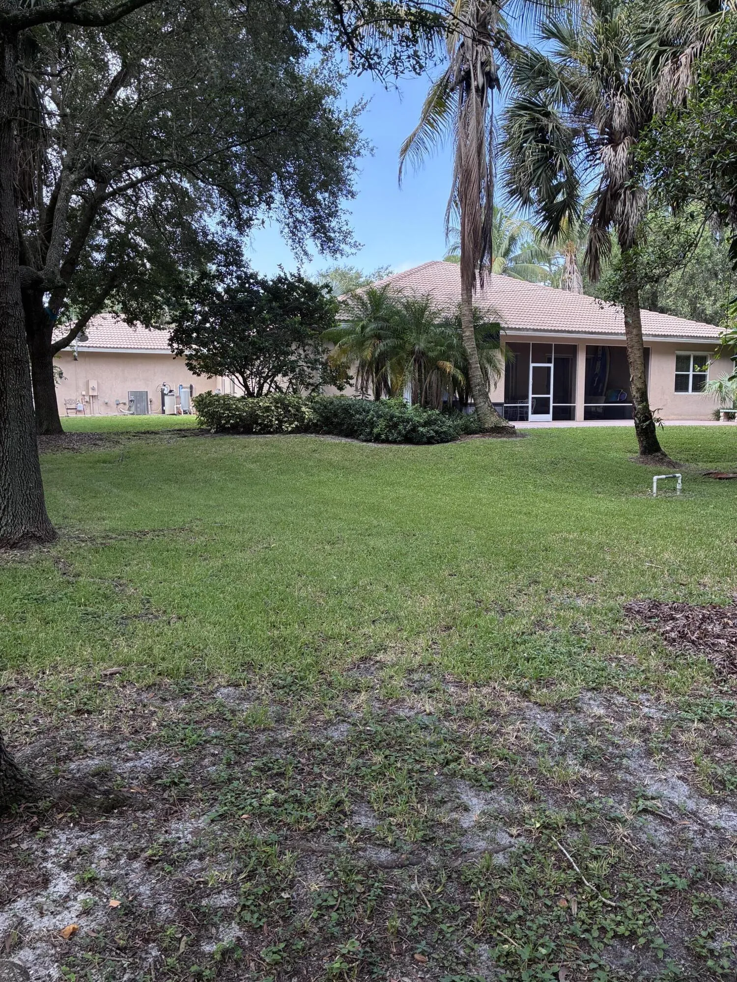 Large backyard