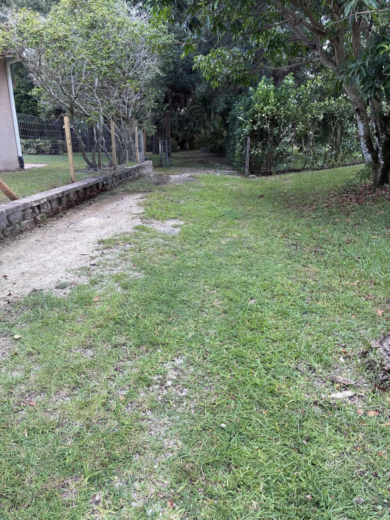 Side yard