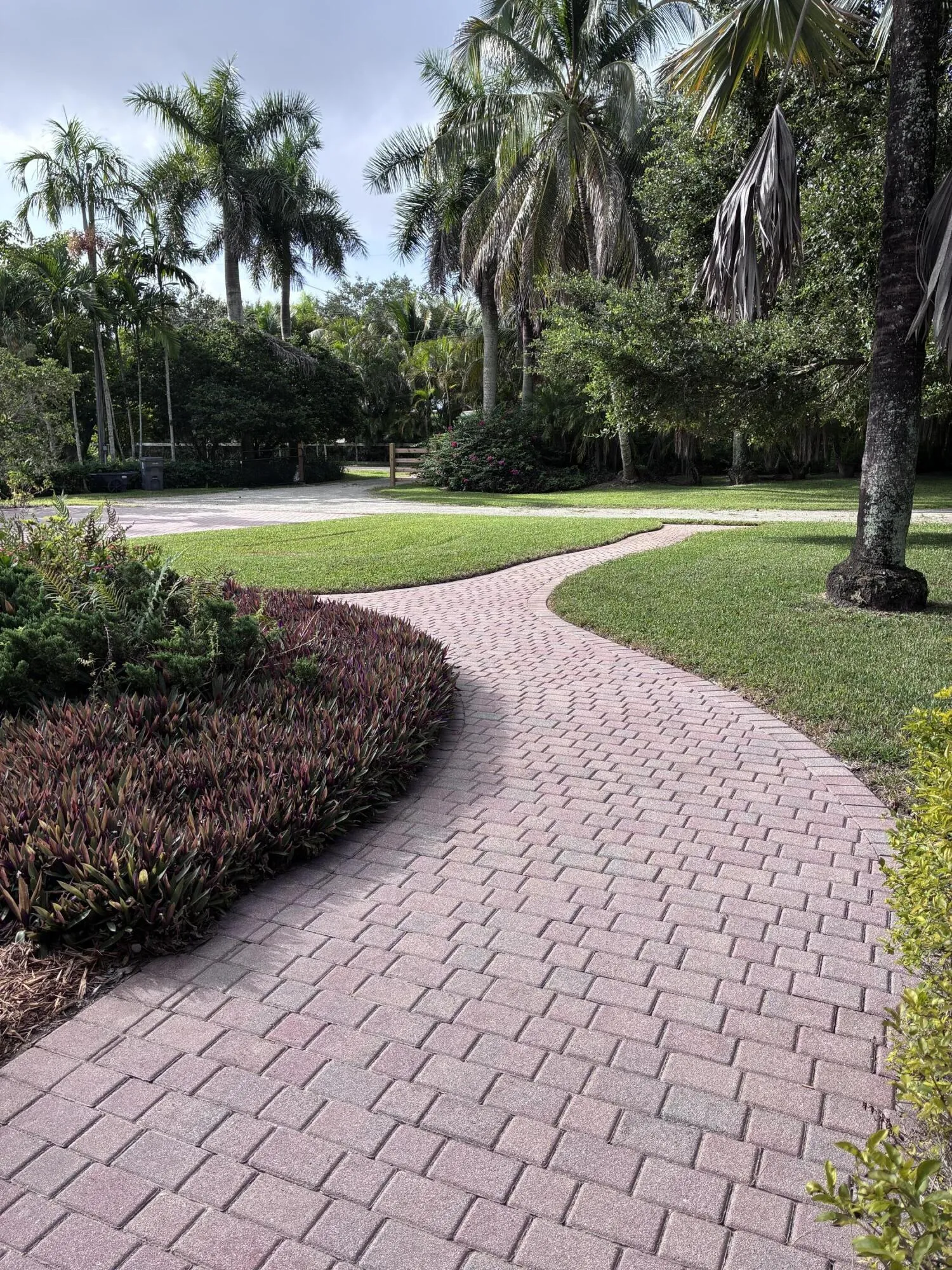 Beautiful front garden
