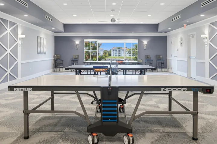 Clubhouse-Ping Pong Room