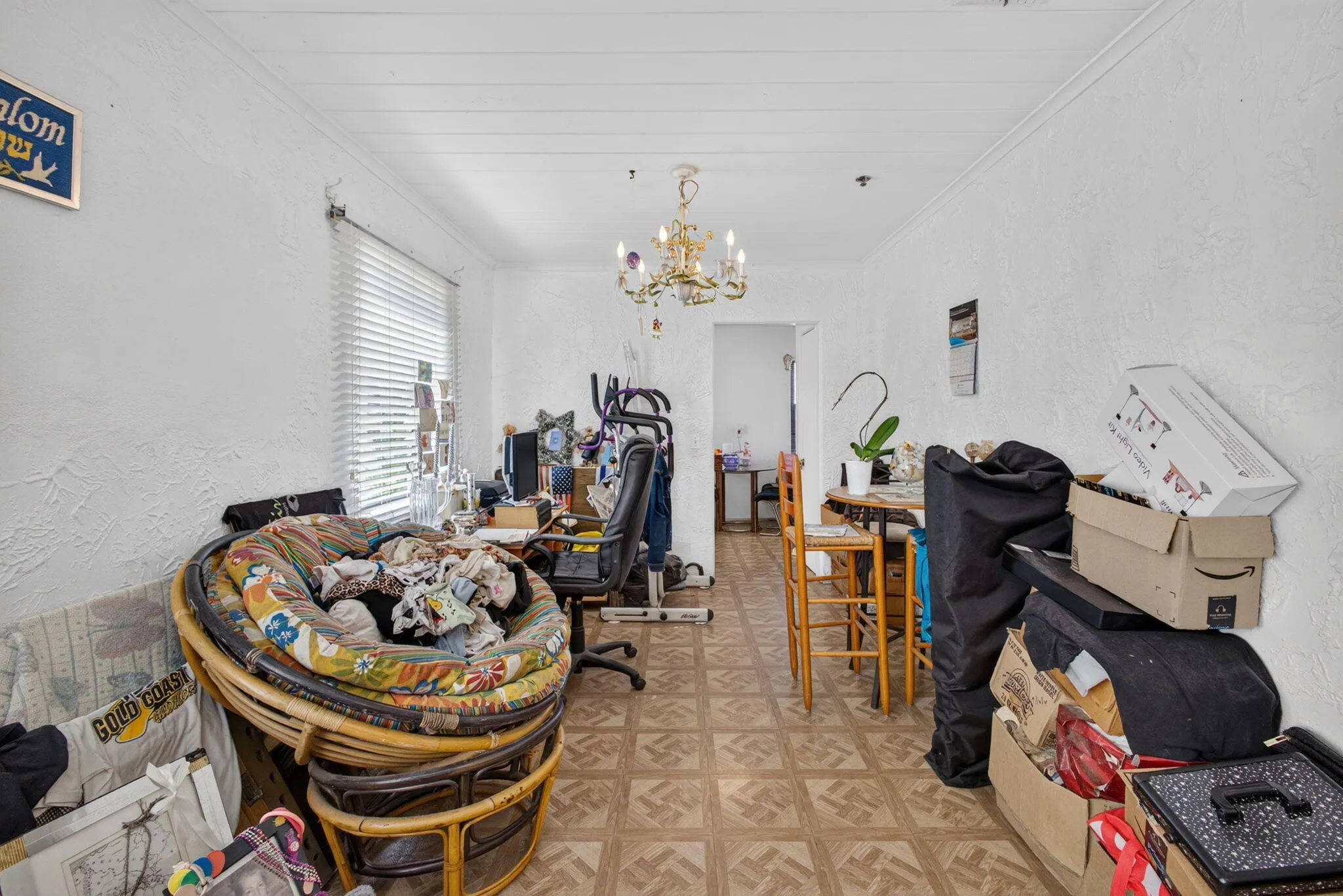 23-web-or-mls-5D1A0237