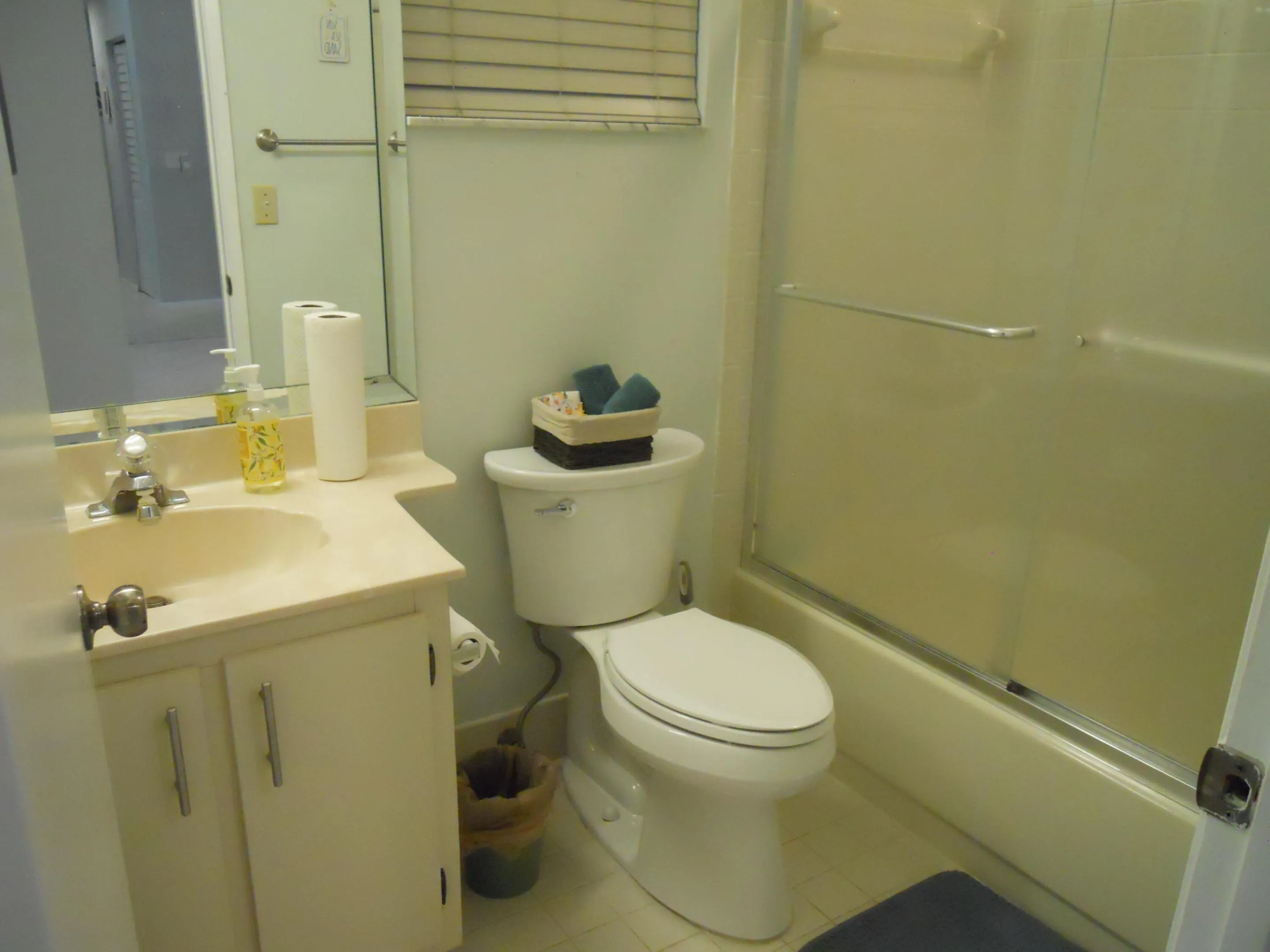 Guest bathroom