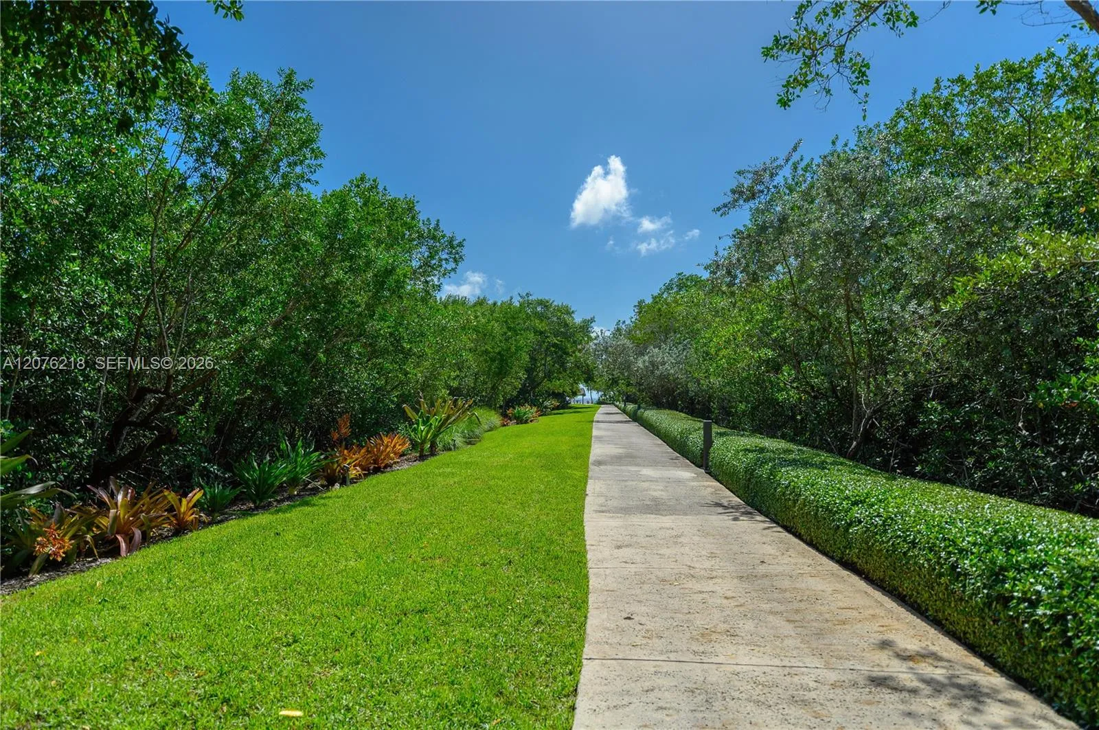 Property photo 44