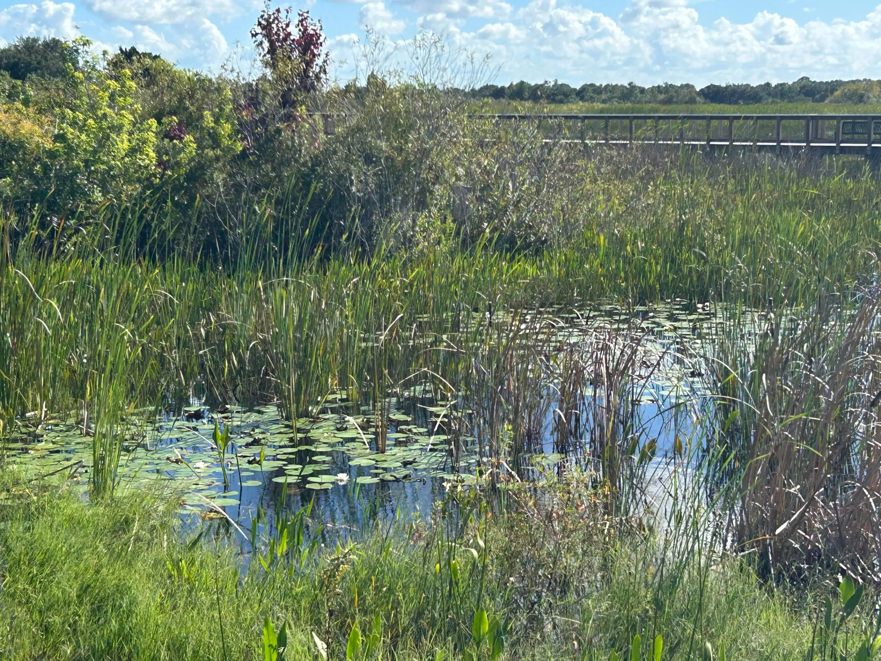 Property photo 52