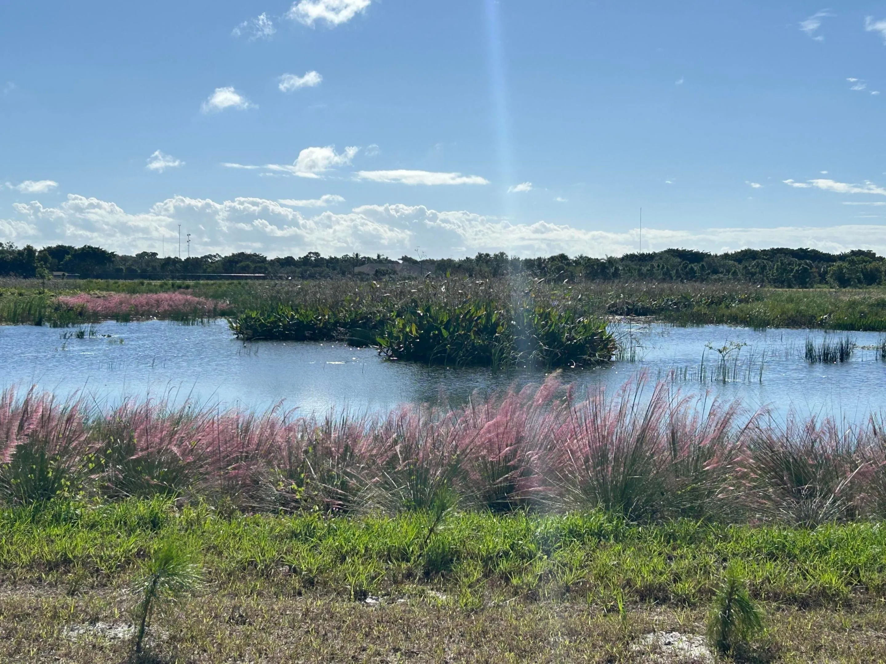 Property photo 51