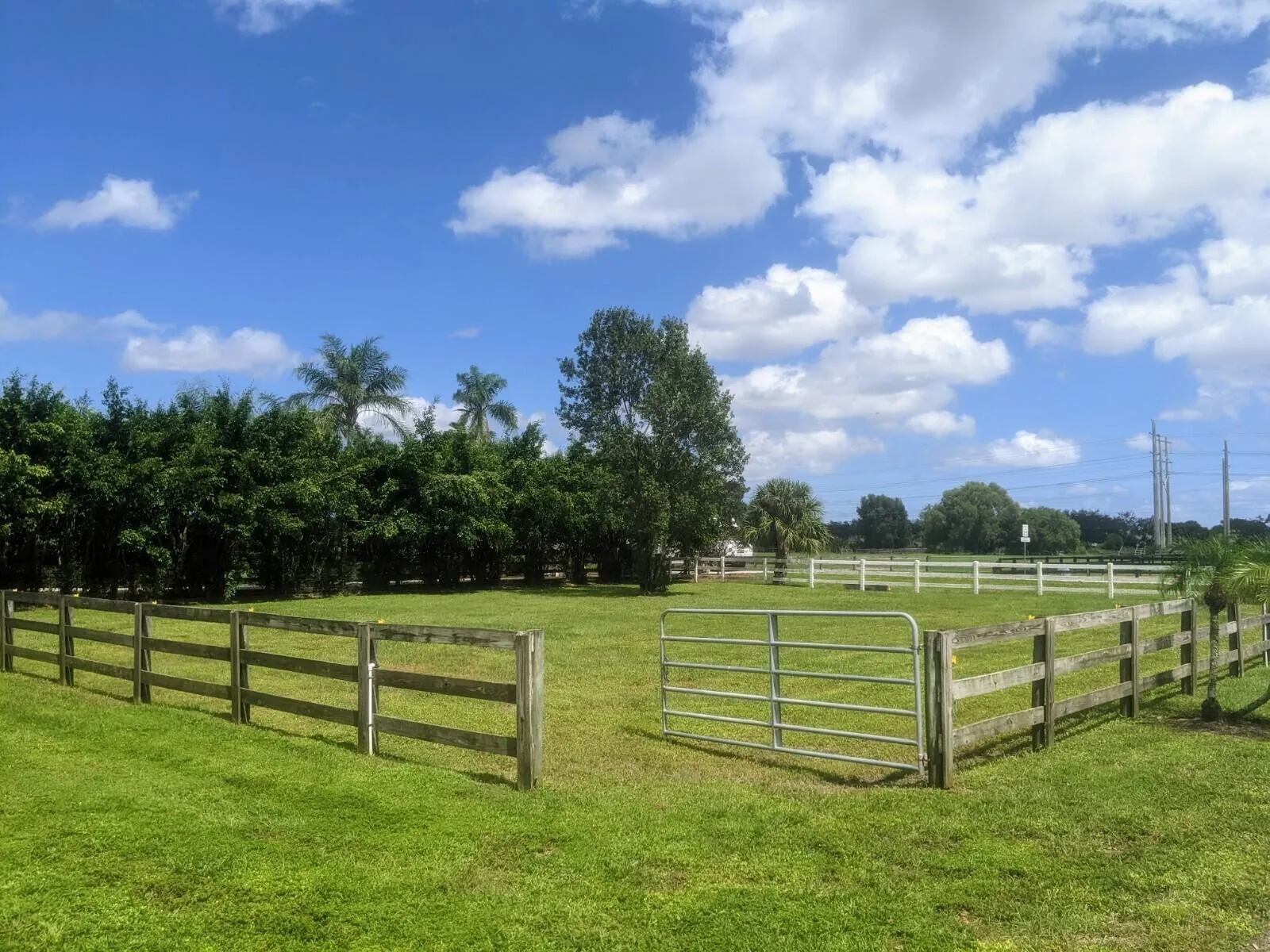 Property photo 33