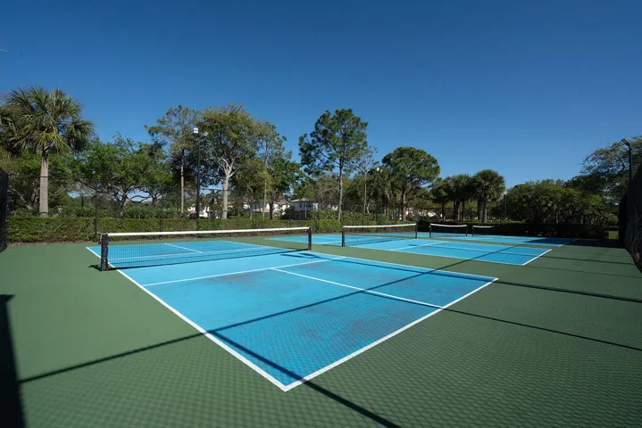 PickleBall