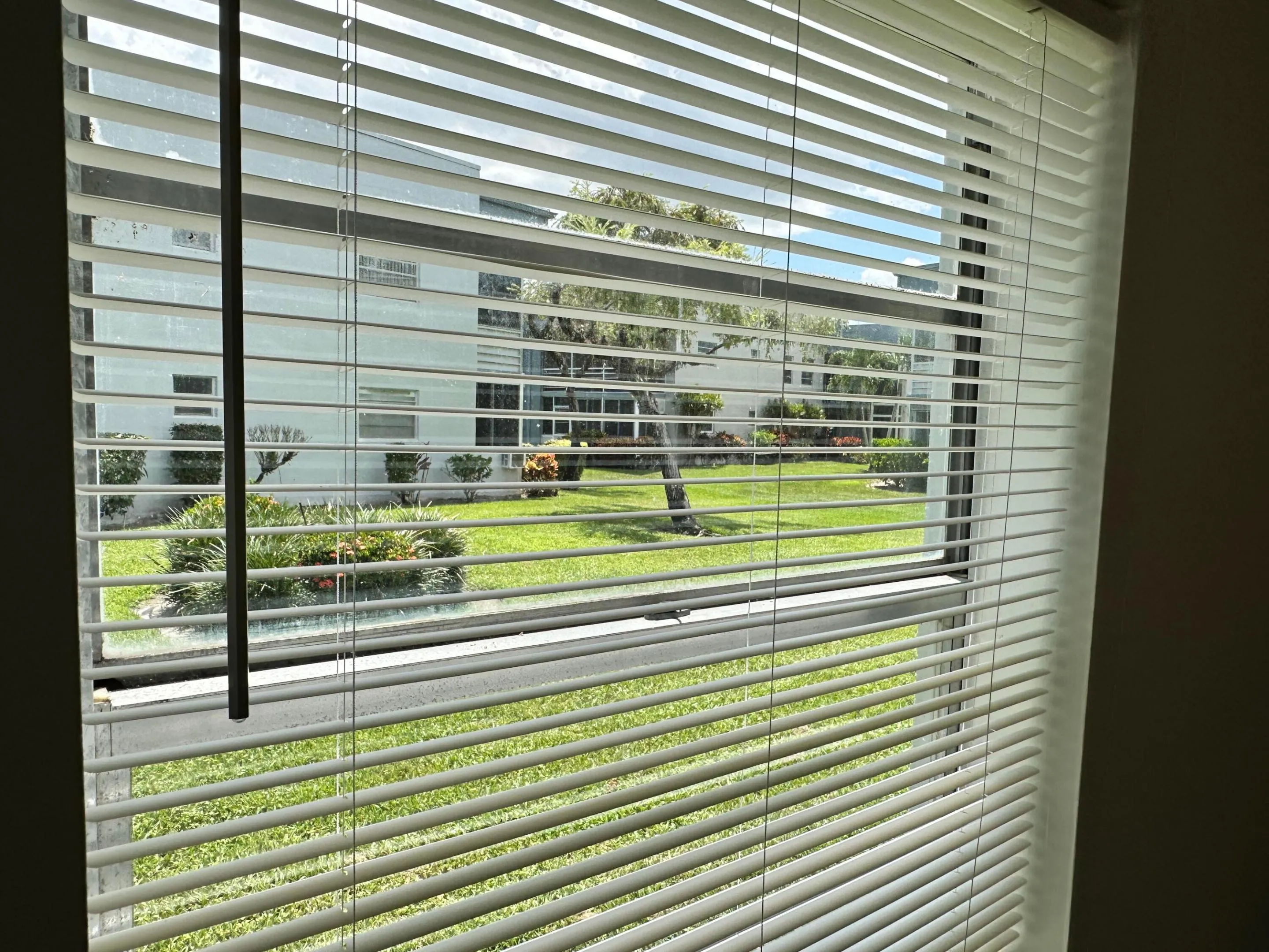 KITCHEN WINDOW