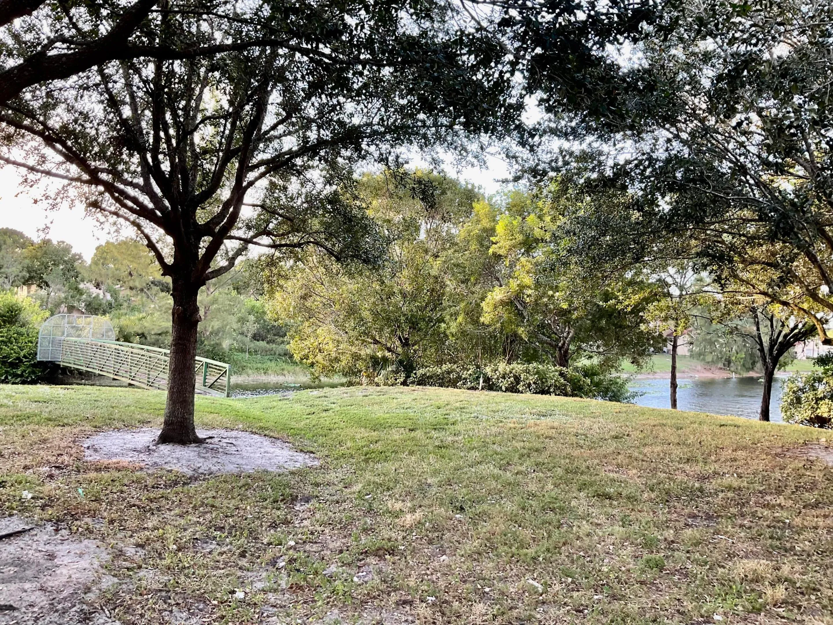 View from entrance