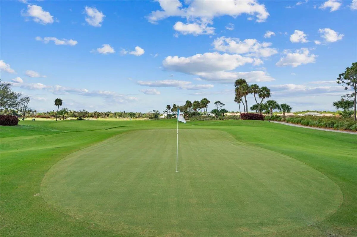 Beautiful Greens