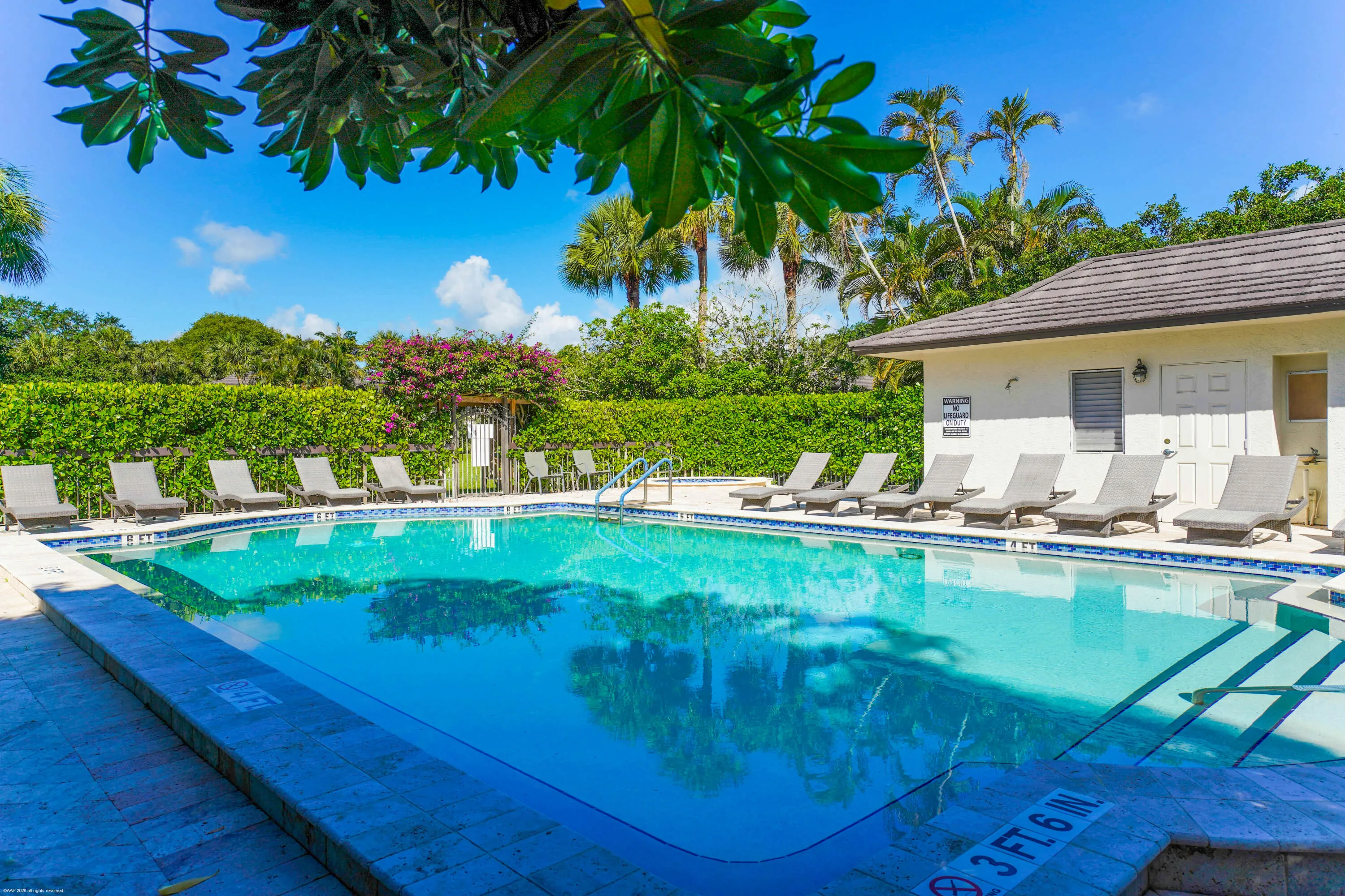 Palm Beach Polo Pool a AAP 2026