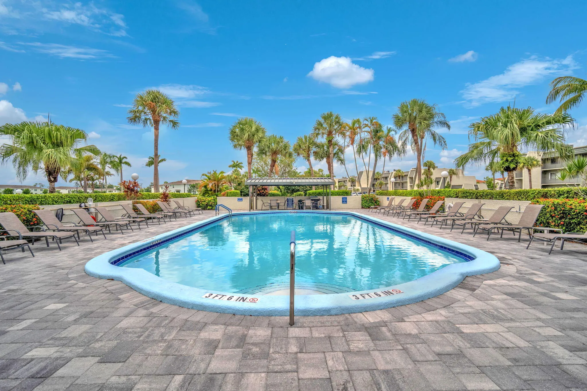 45-web-or-mls-DSC04579