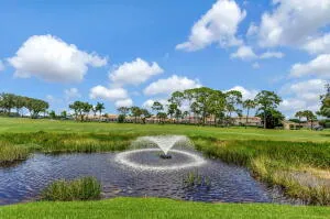 Water feature with fountain, surrounded by green landscaping and distant properties