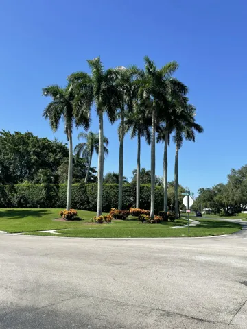 Scenic Grounds