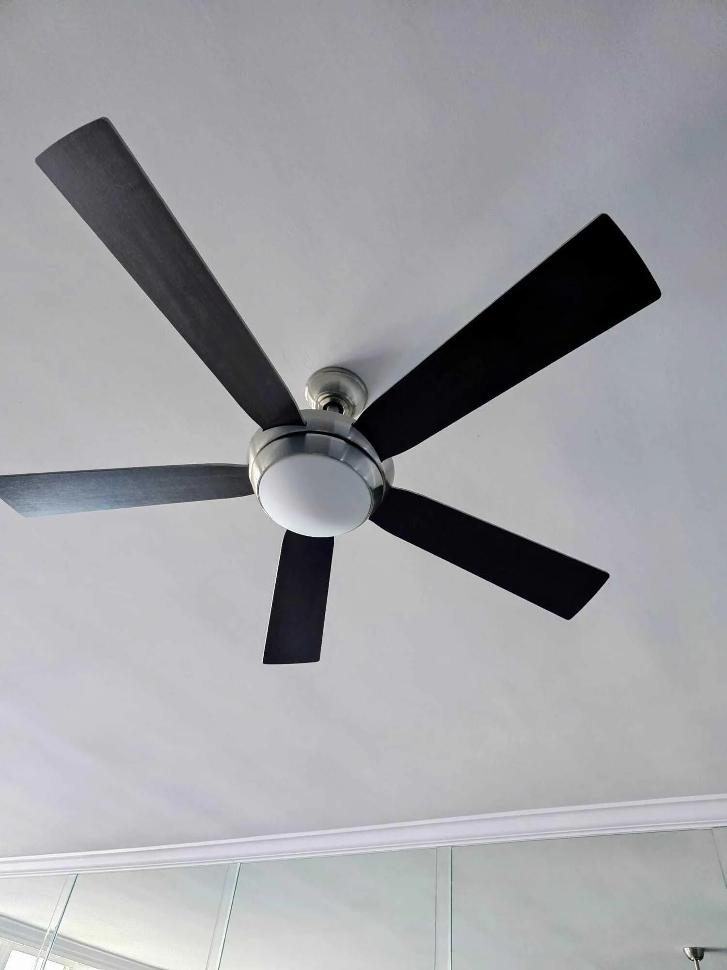 Newly installed Ceiling Fans