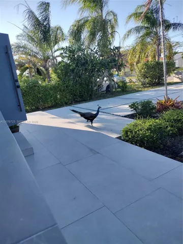 Visitors