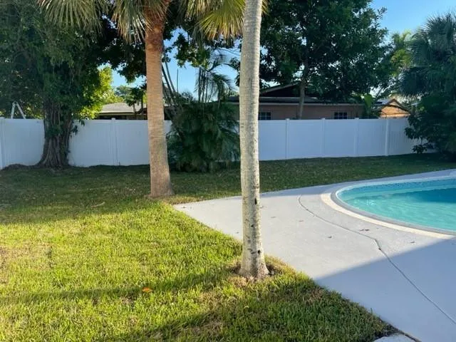 Beautiful new lawn