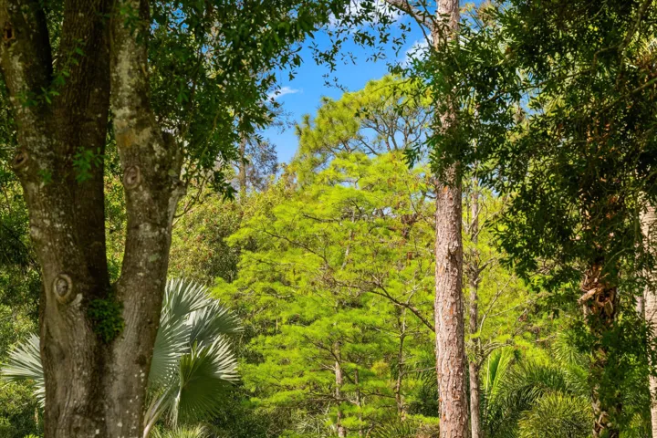 1037 & TBD F Road, Loxahatchee Groves