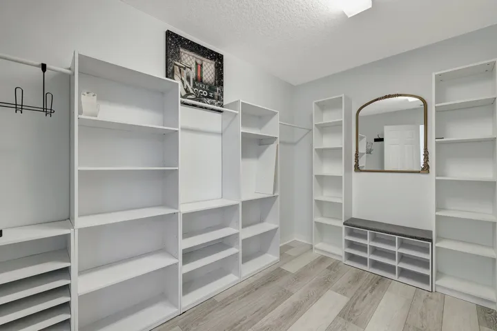 Custom built-in shelving, wood-finish flooring, overhead lighting, and wall-mounted mirror