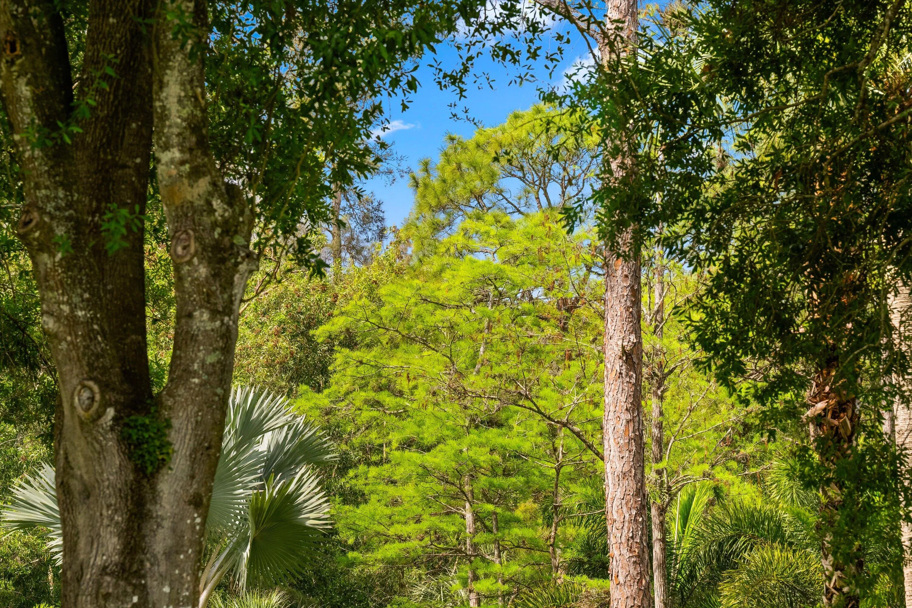 1037 F Road, Loxahatchee Groves