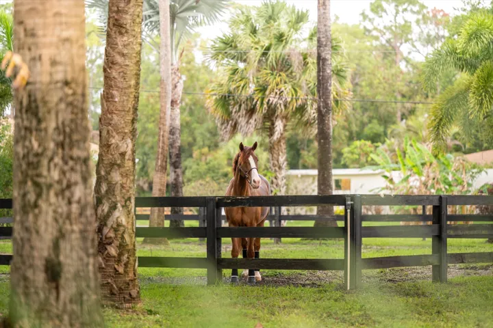 1037 F Road, Loxahatchee Groves