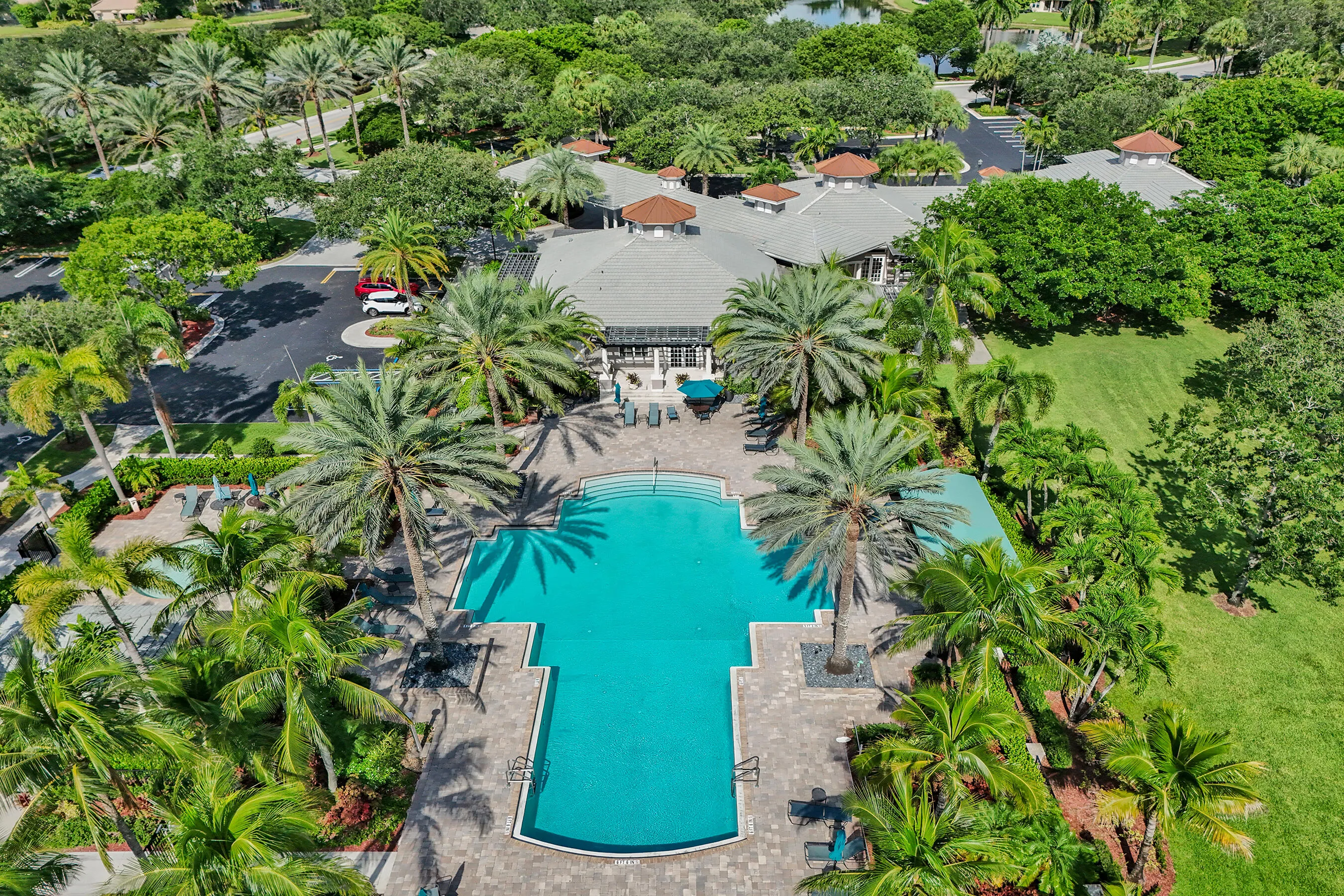 Expansive outdoor pool with a stone paver deck, surrounded by mature palm trees and lush landscaping