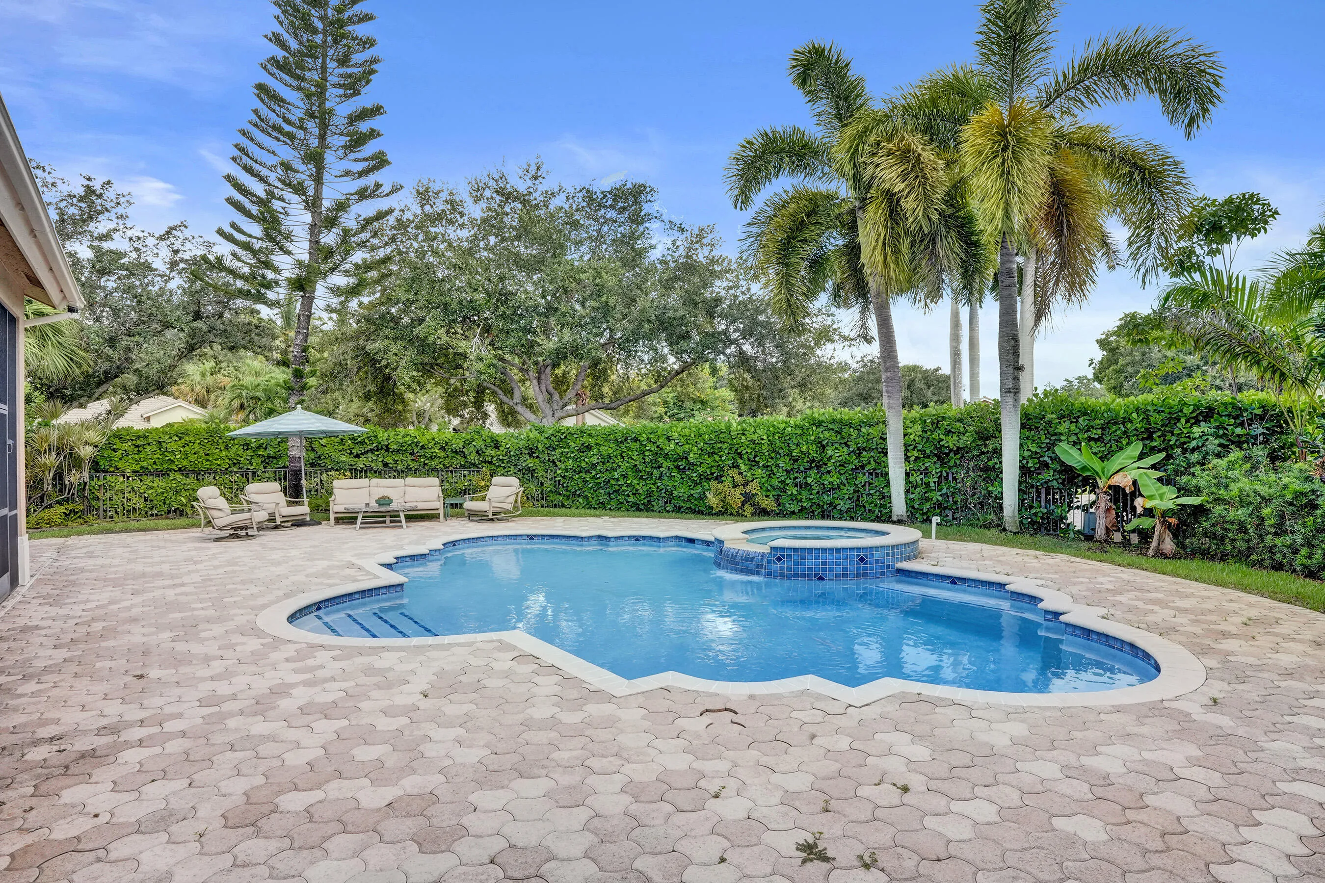Freeform swimming pool with an integrated spa, surrounded by a paver patio and privacy hedging