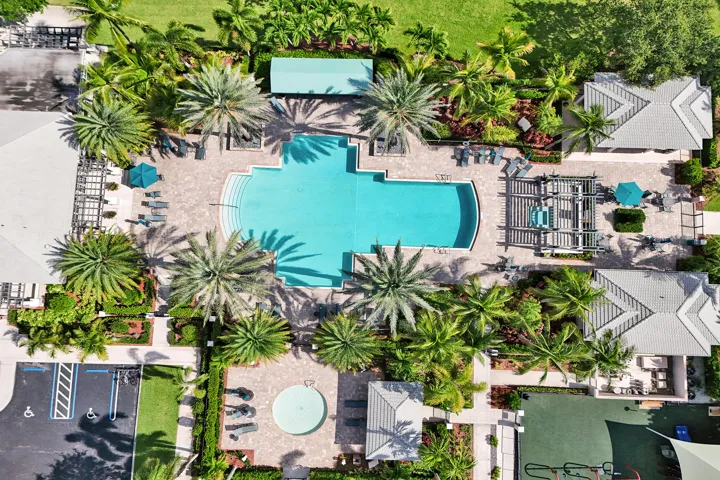 Resort-style pool with integrated steps, surrounded by mature palm trees and landscaped grounds