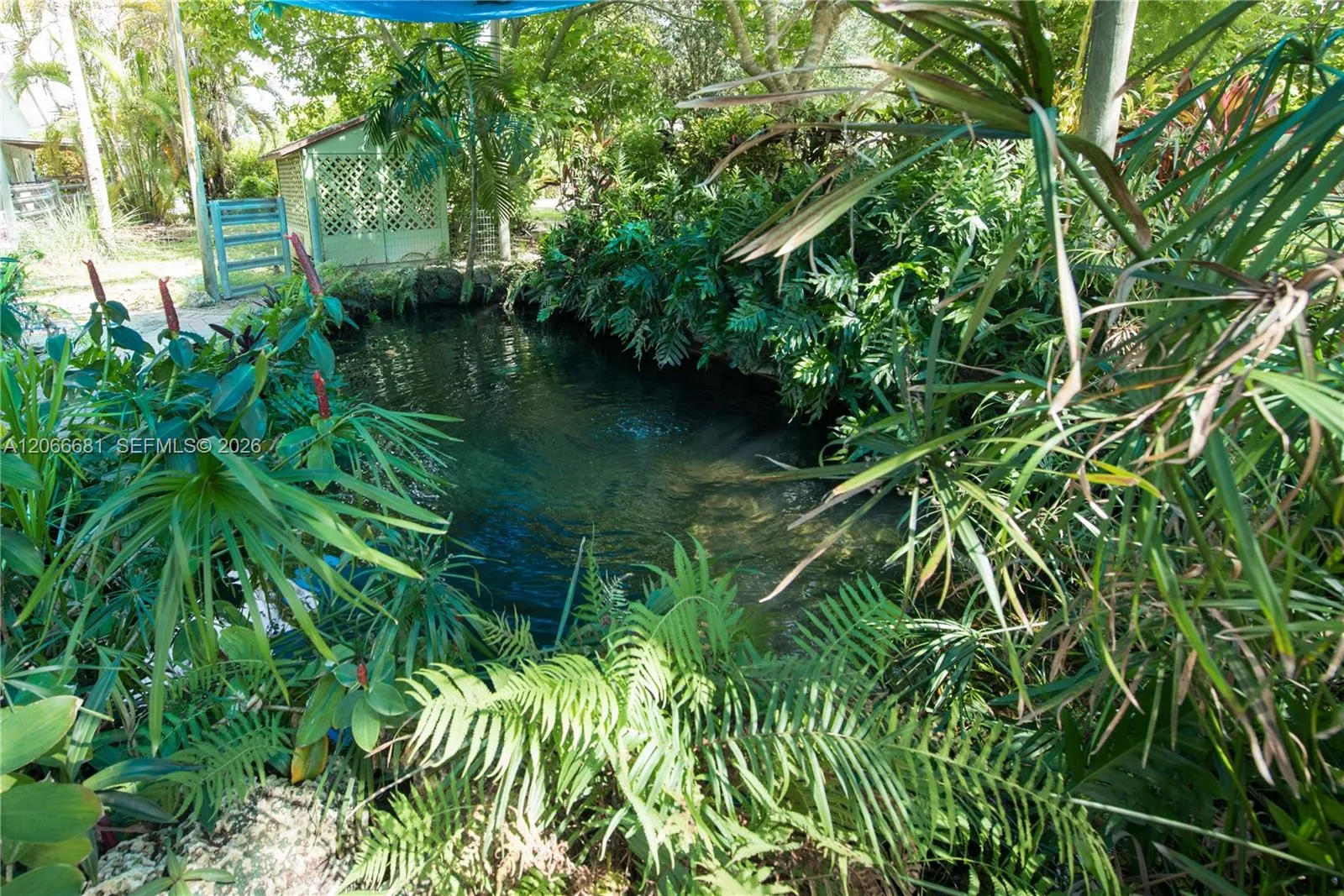 Property photo 41