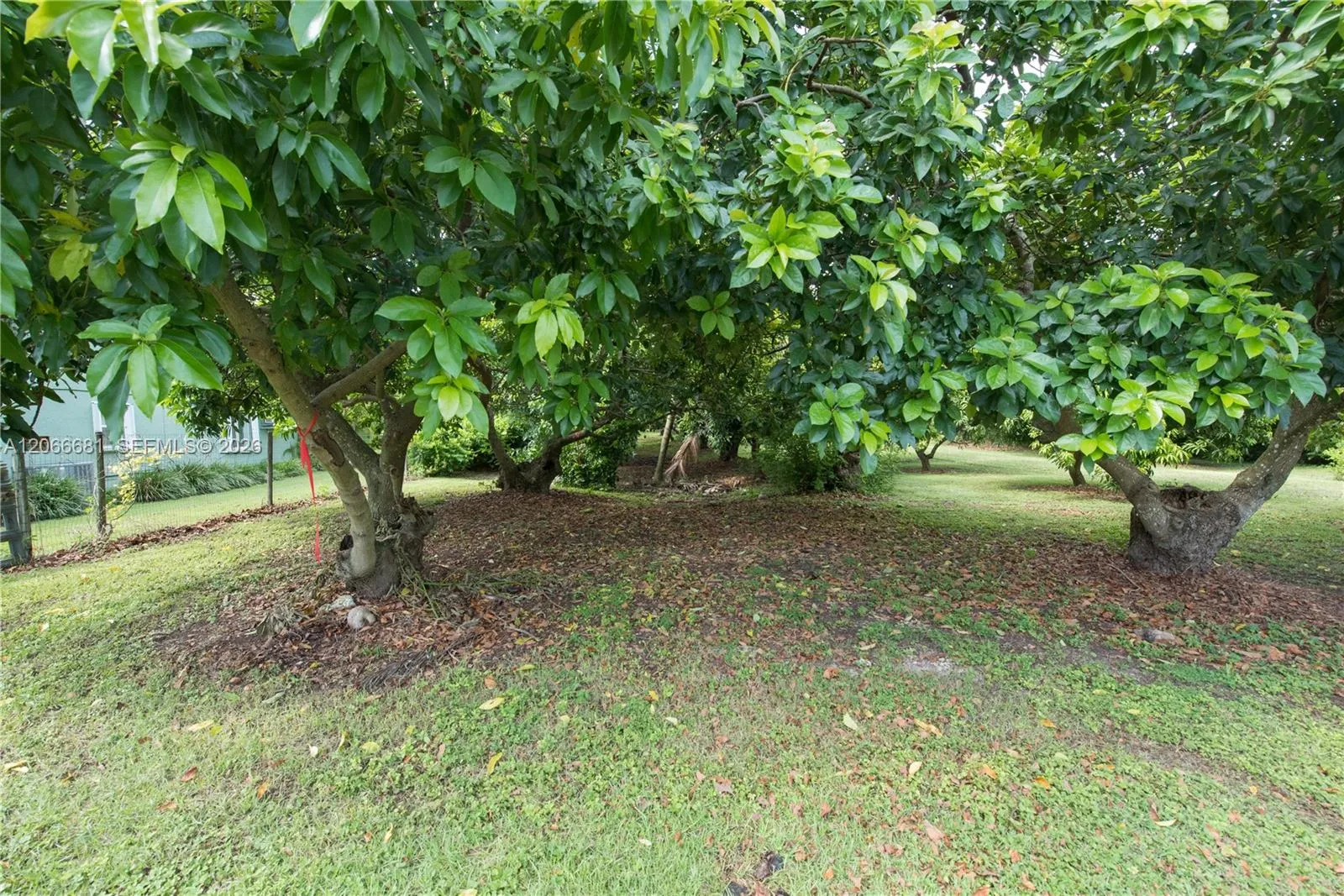 Property photo 50