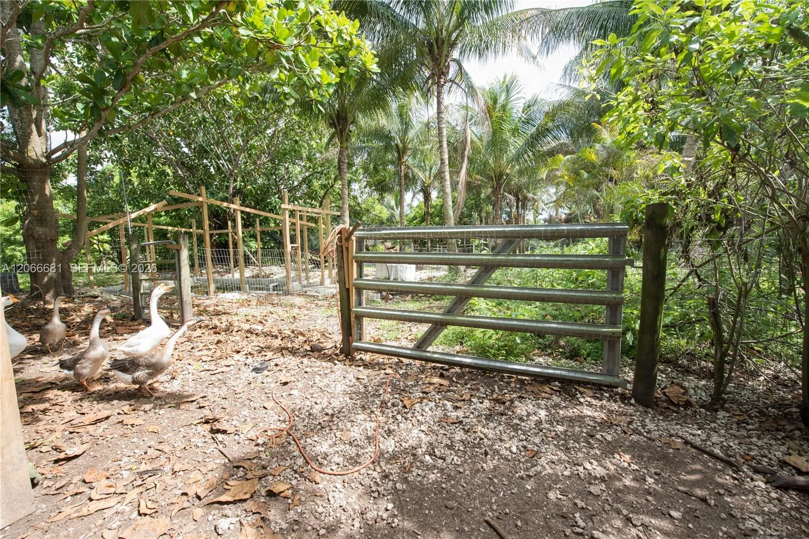 Property photo 52