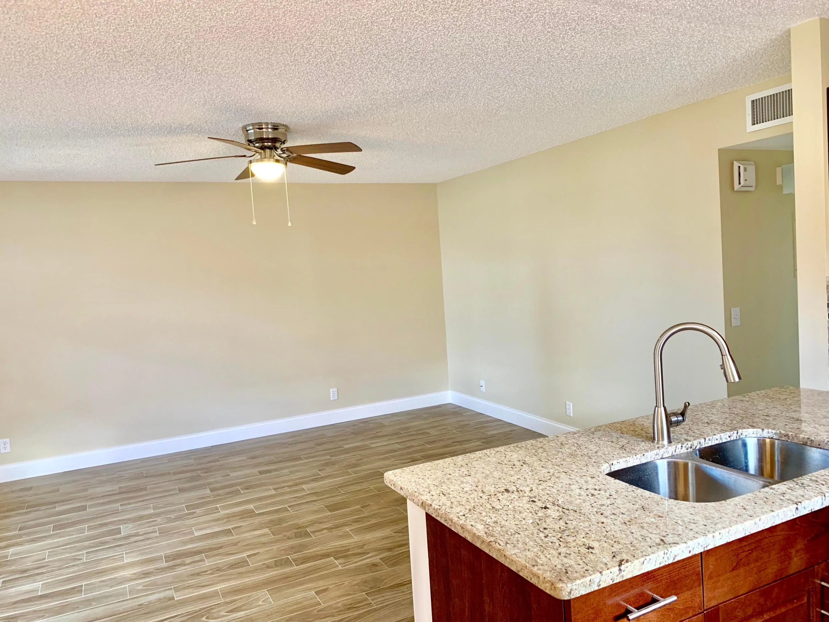 Great Room - Kitchen Counter