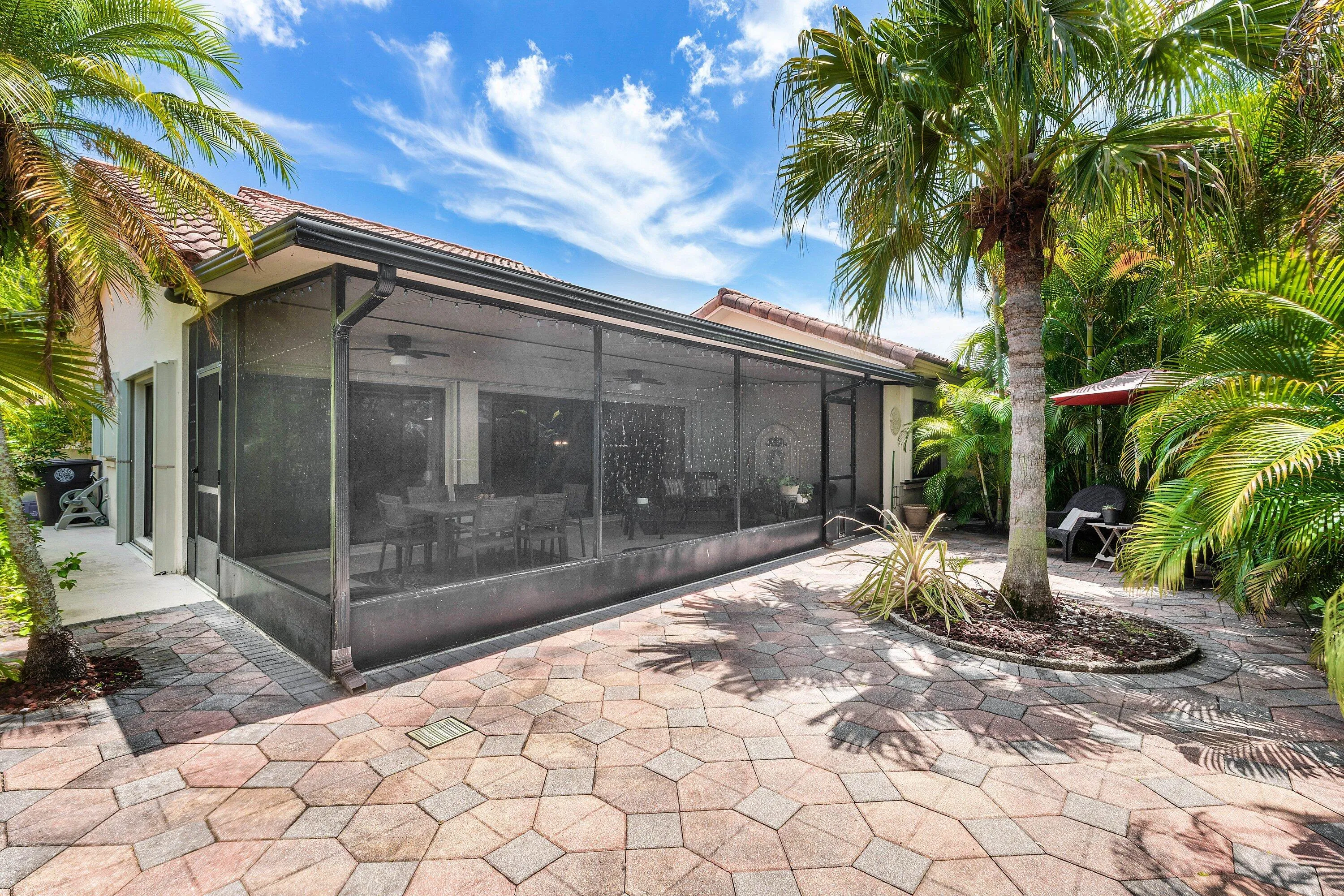 back yard