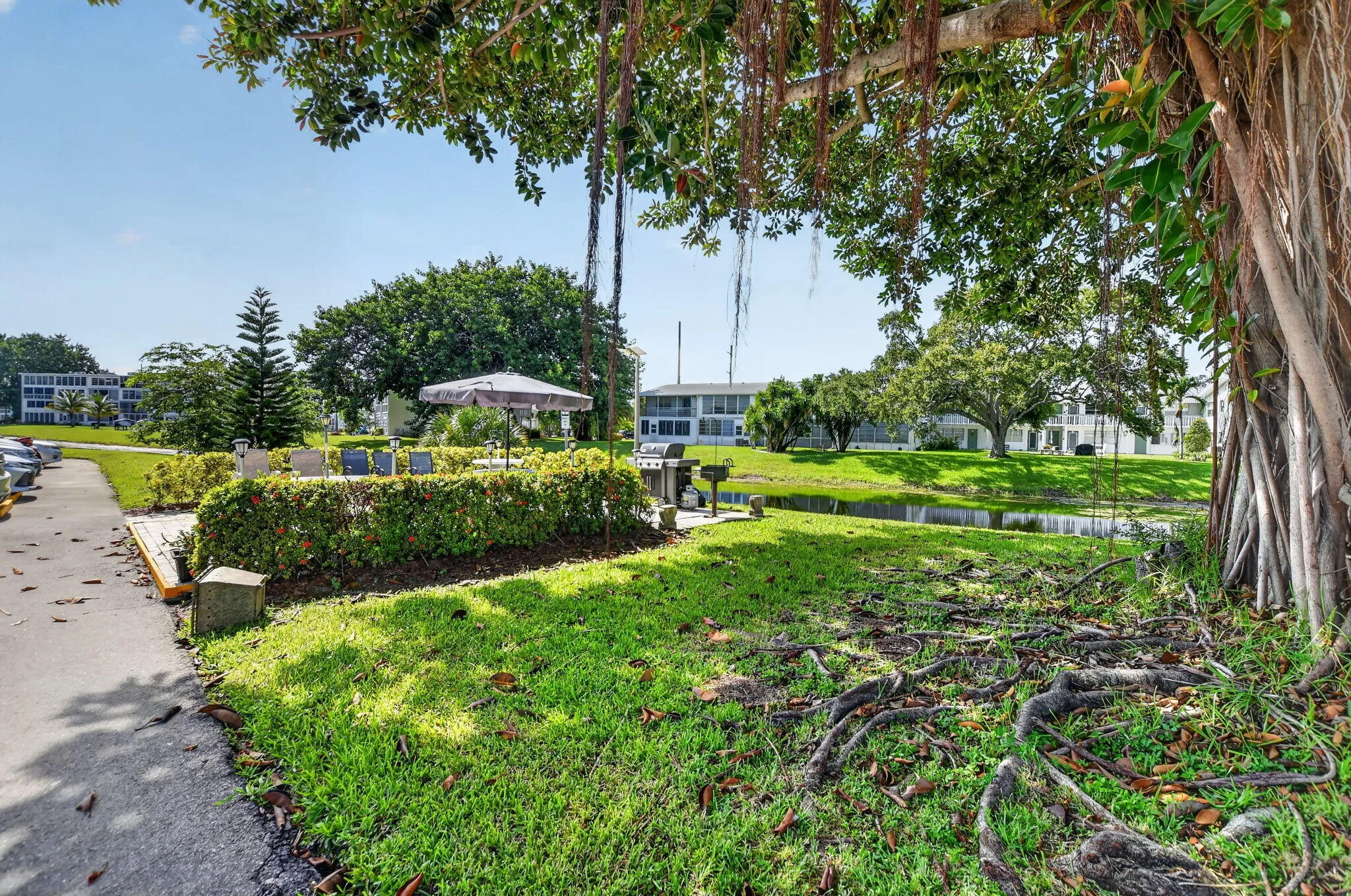 Property photo 46