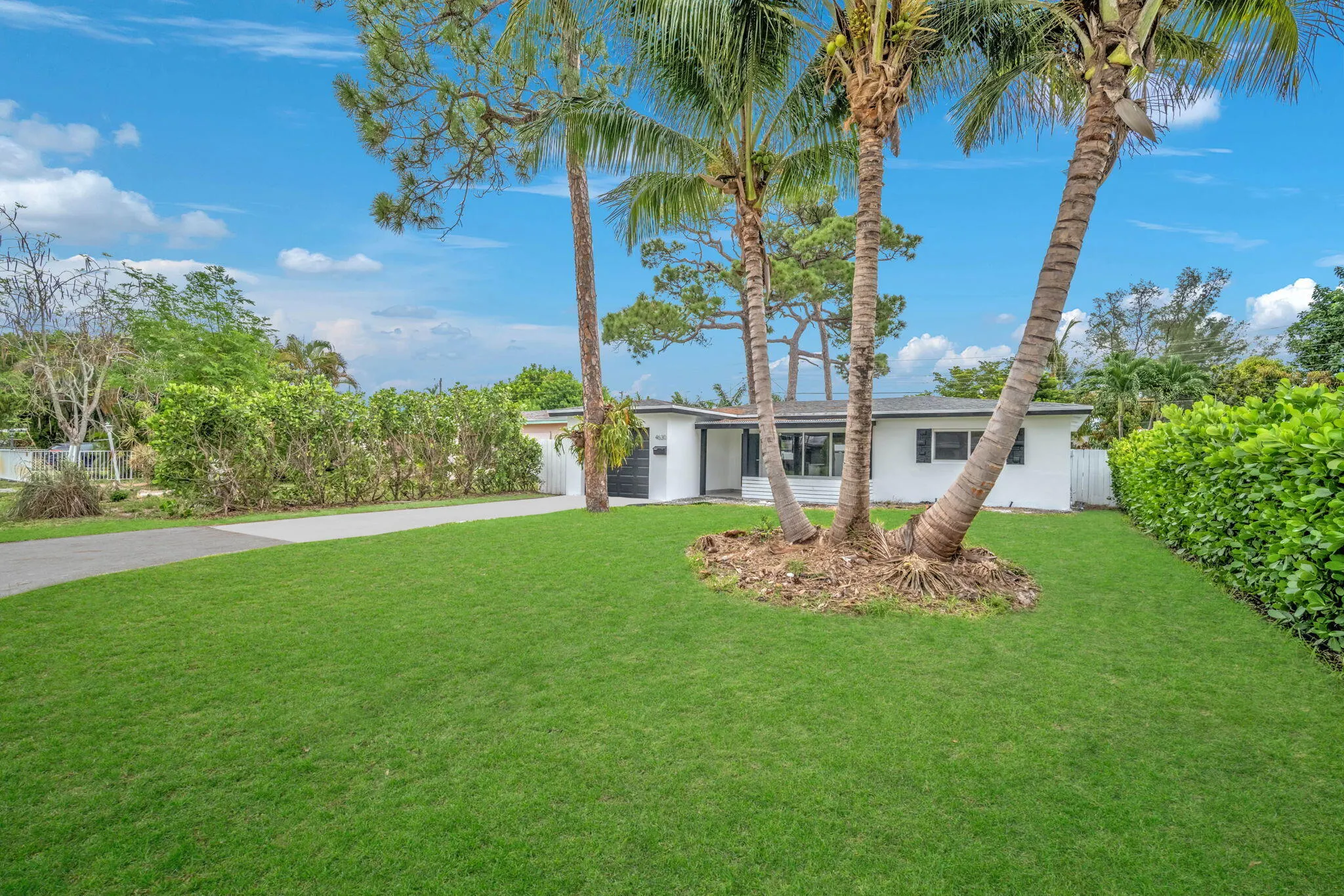 Expansive front lawn with mature palm trees and a paved driveway leading to a single-story residence