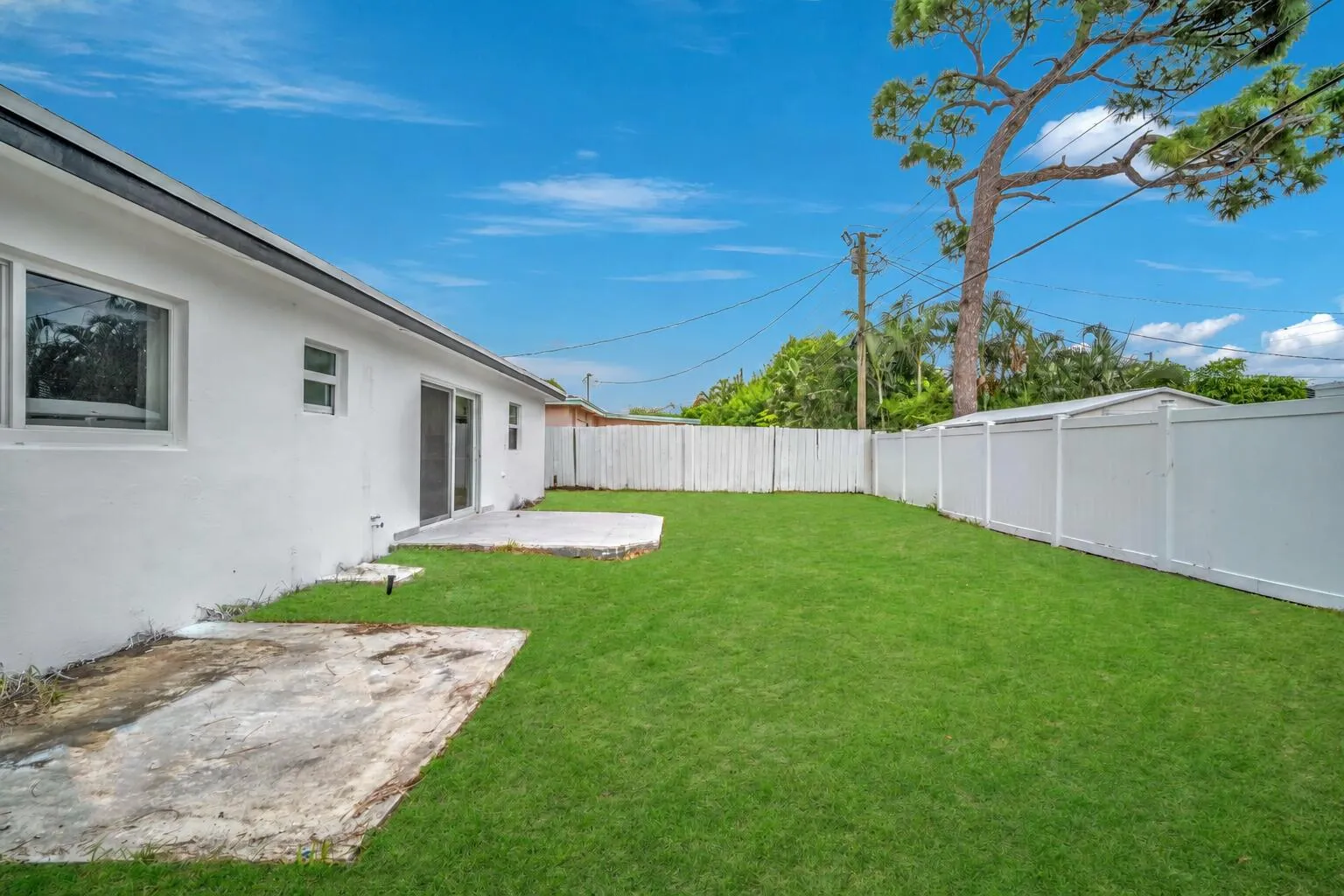 Backyard