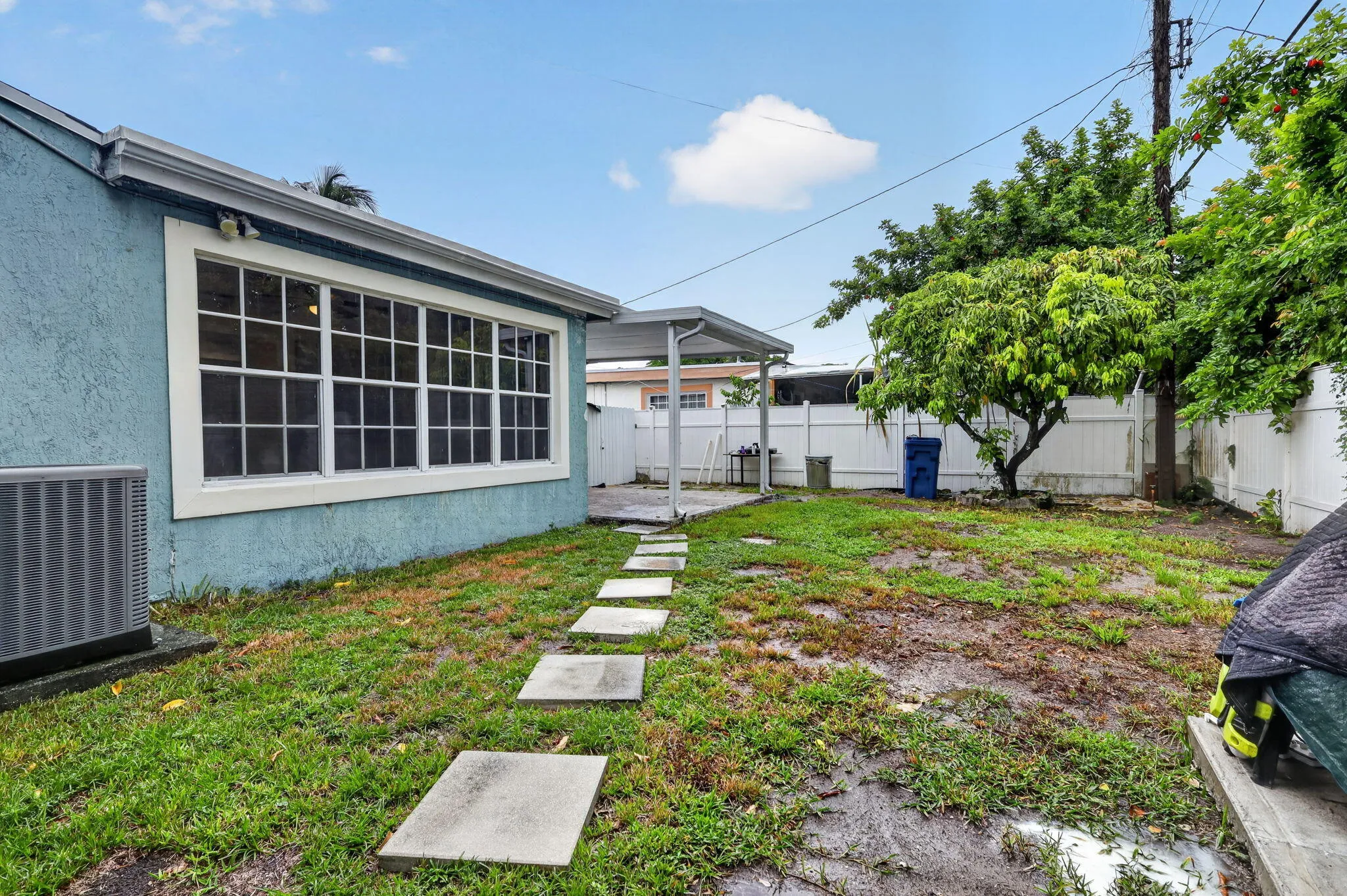 Back Yard
